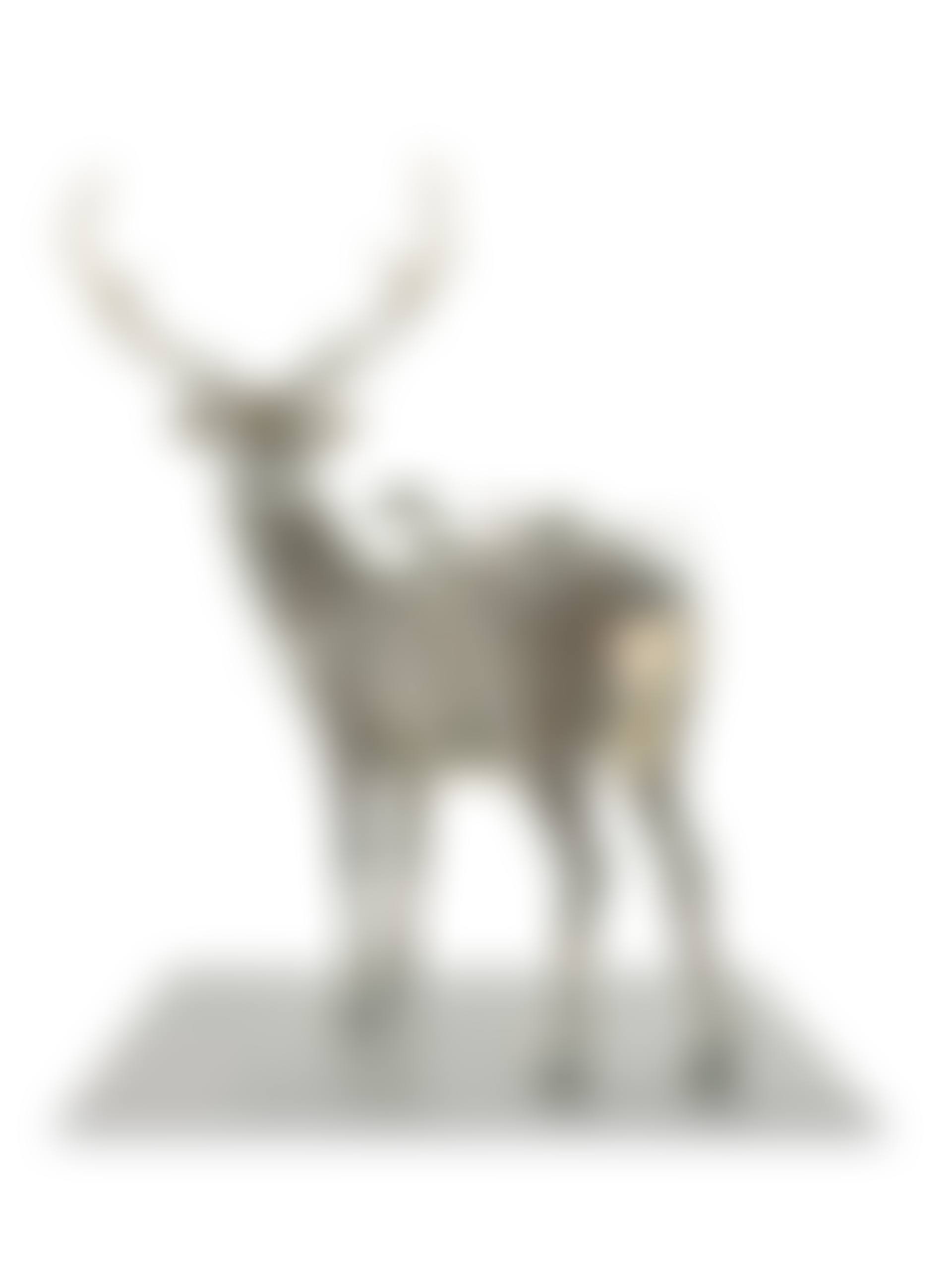 PIXCELL-DEER 32 (preview)