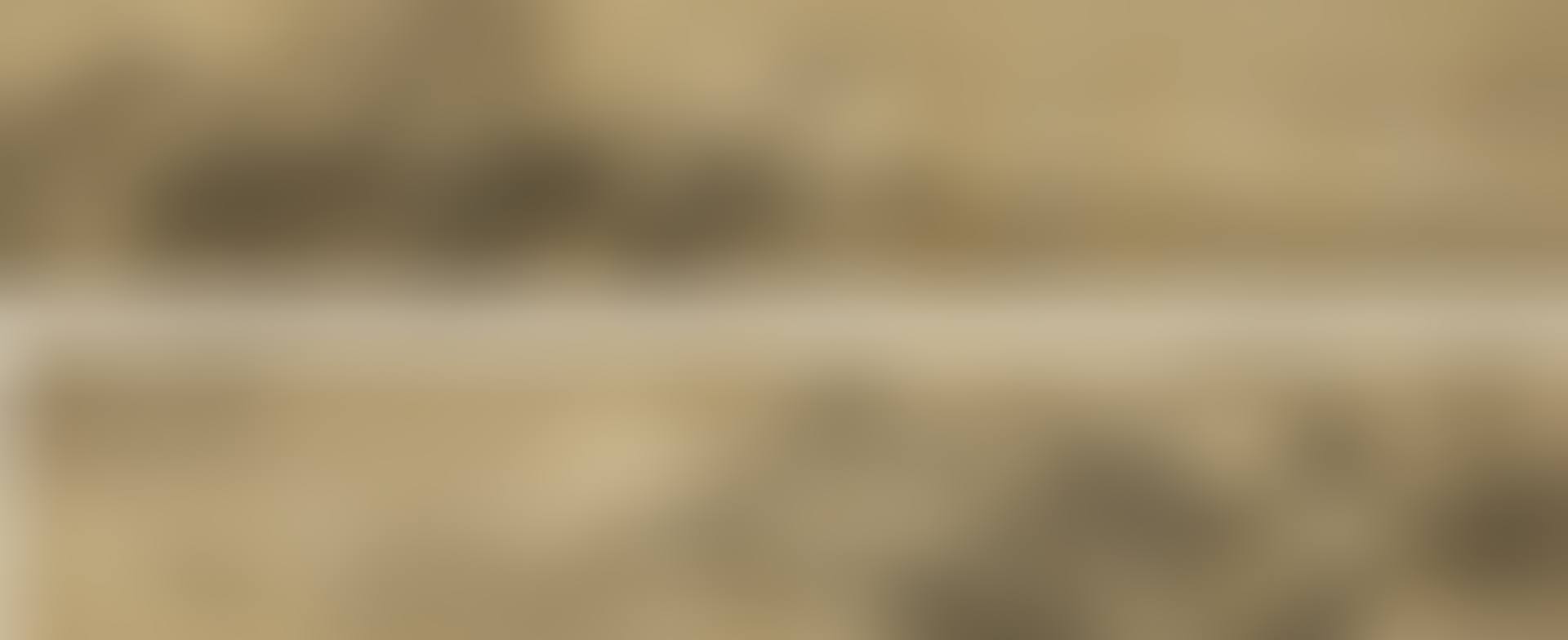 Landscape Inspired by Ju Ran (preview)