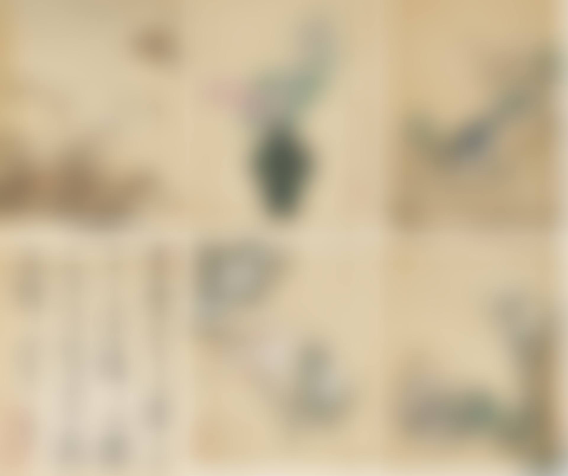 Flowers and Birds / Calligraphy (preview)