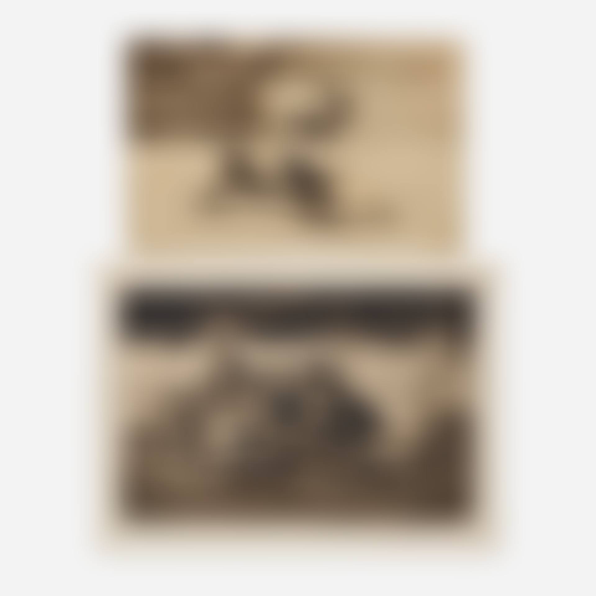 Two works from the La Tauromaquia portfolio (preview)
