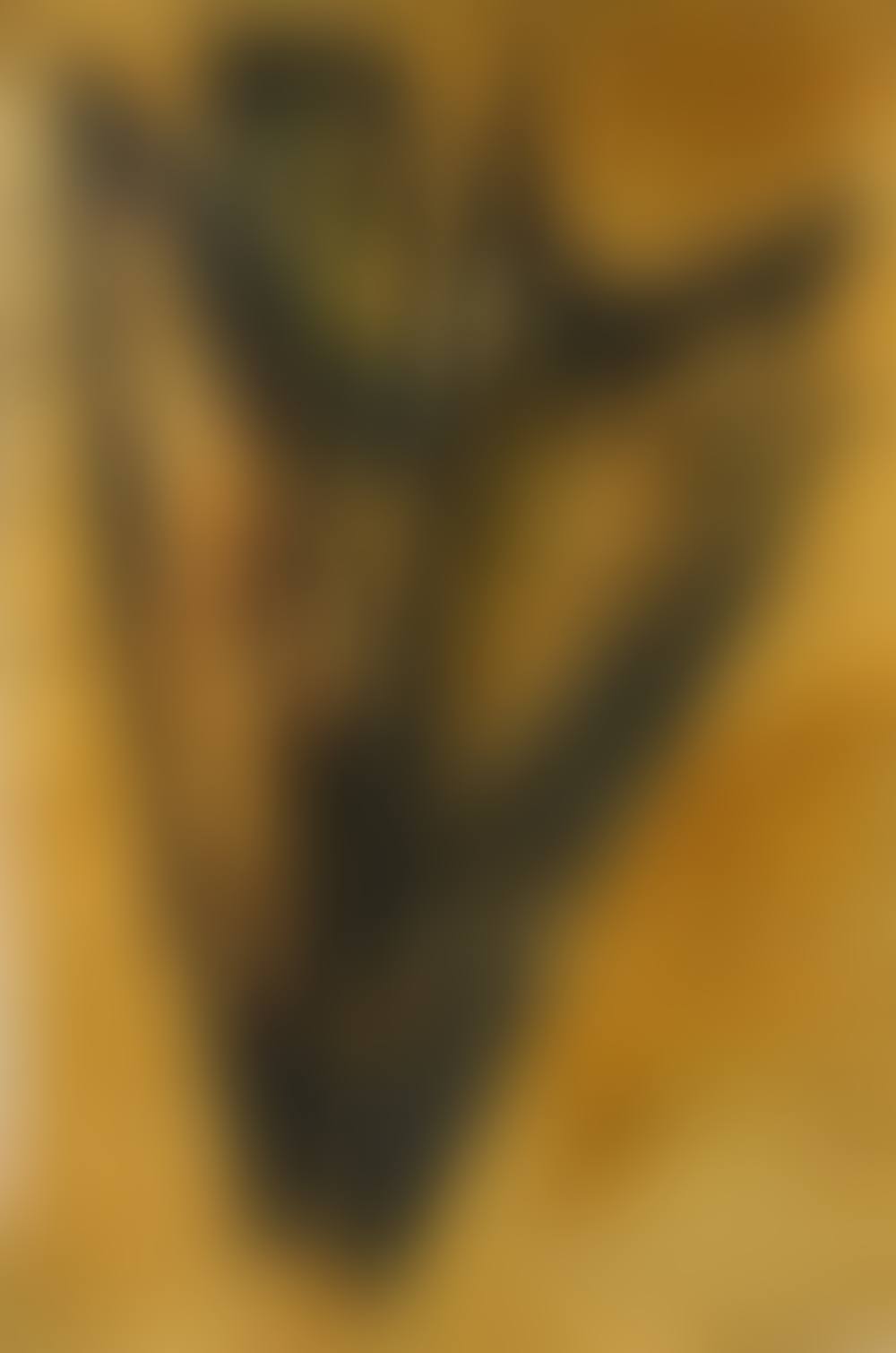 N°8 (preview)
