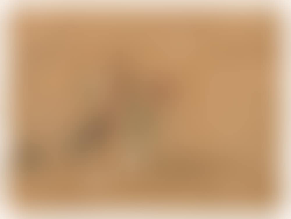 Têtes et divers griffonnages (preview)