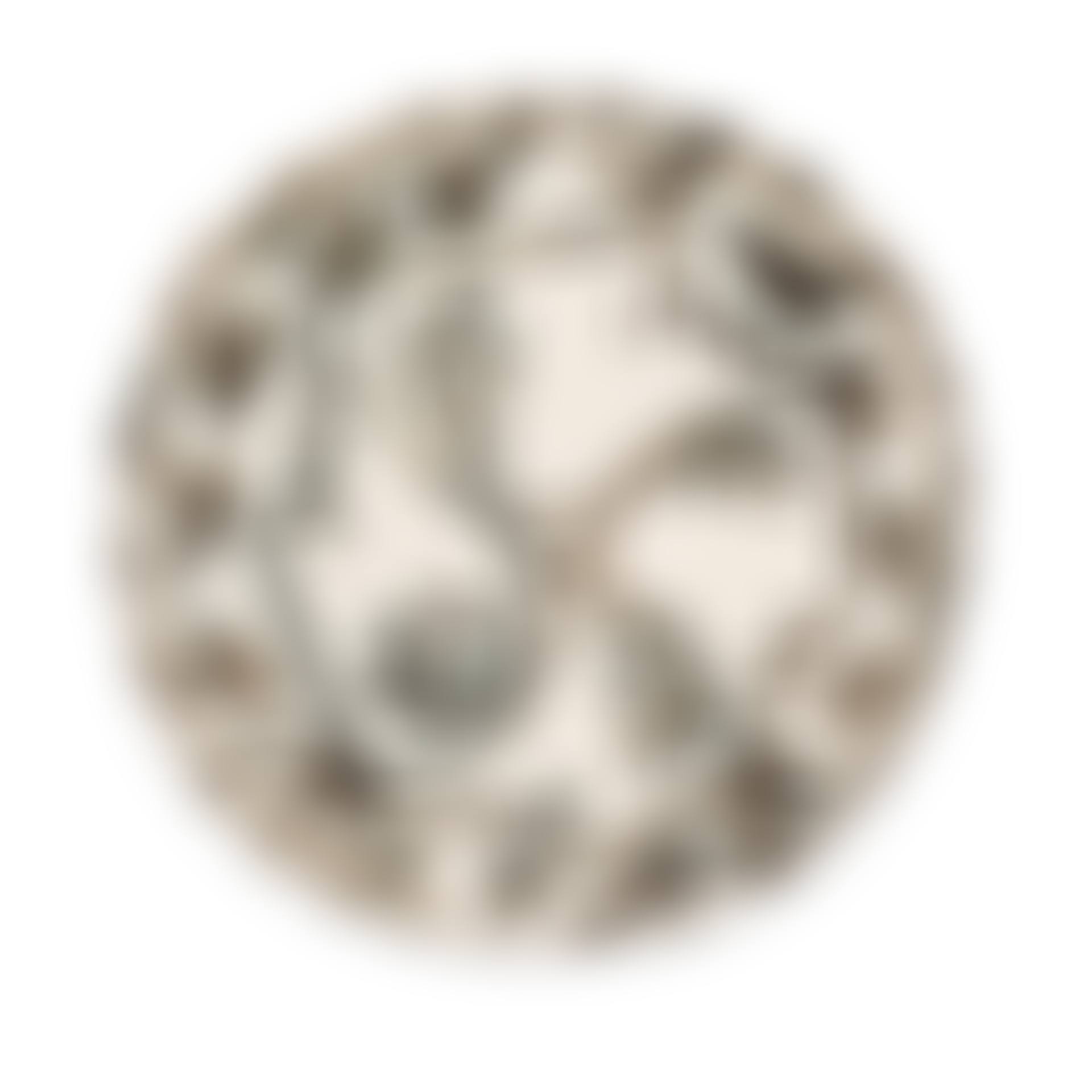 Plat aux quatre visages (preview)
