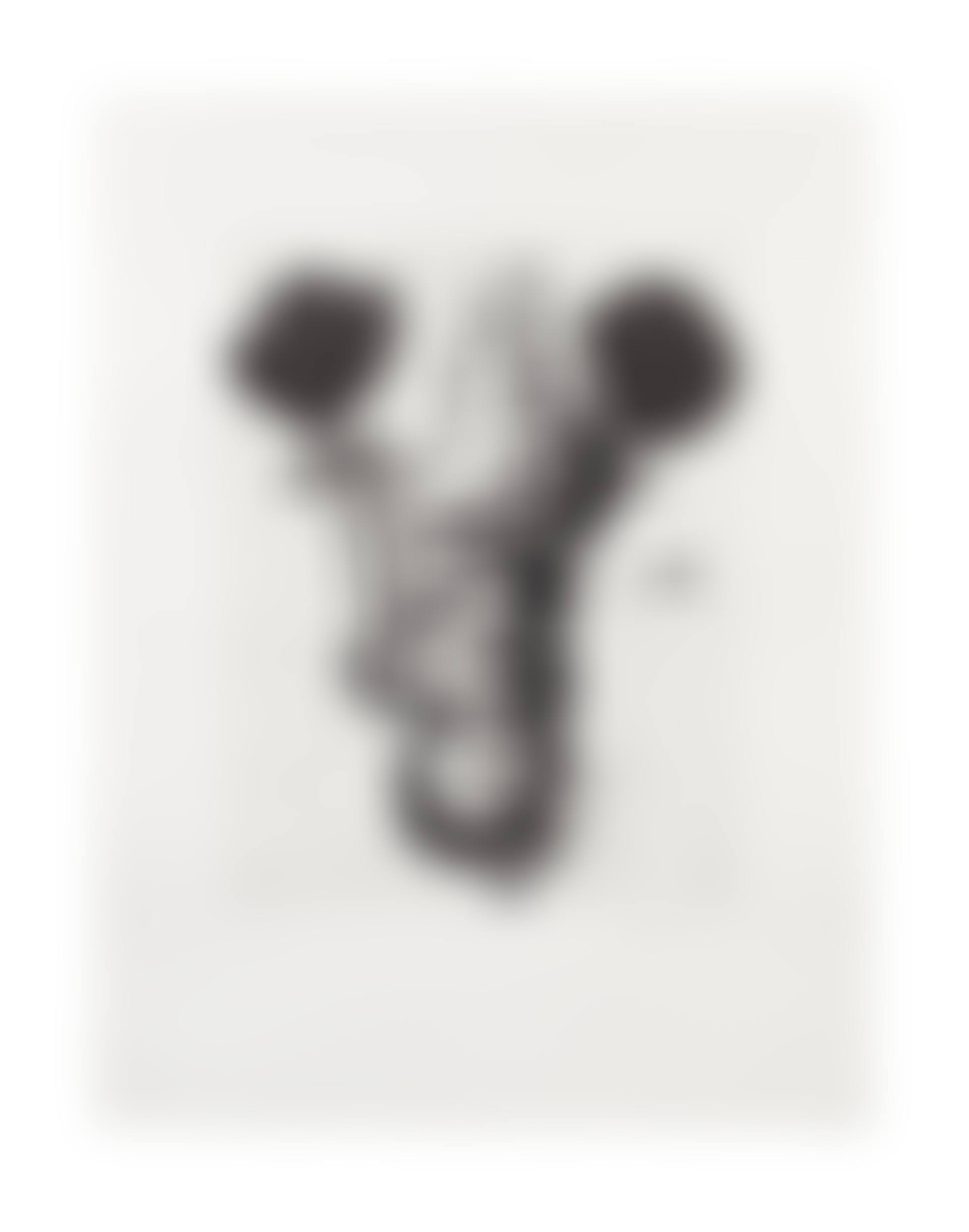 Untitled (Schwarze Rosen) (preview)