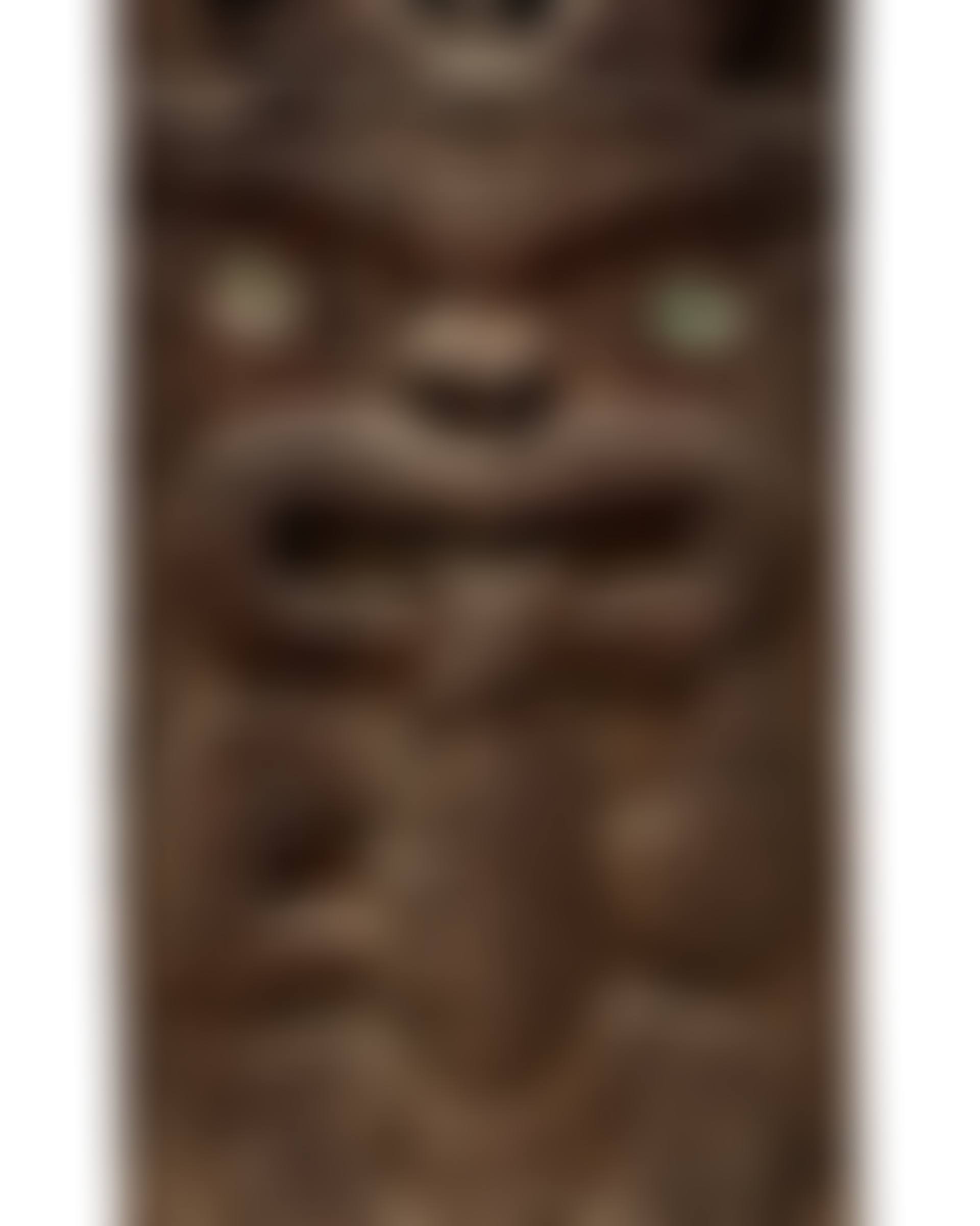 Magnificent Maori House Panel, New Zealand (preview)