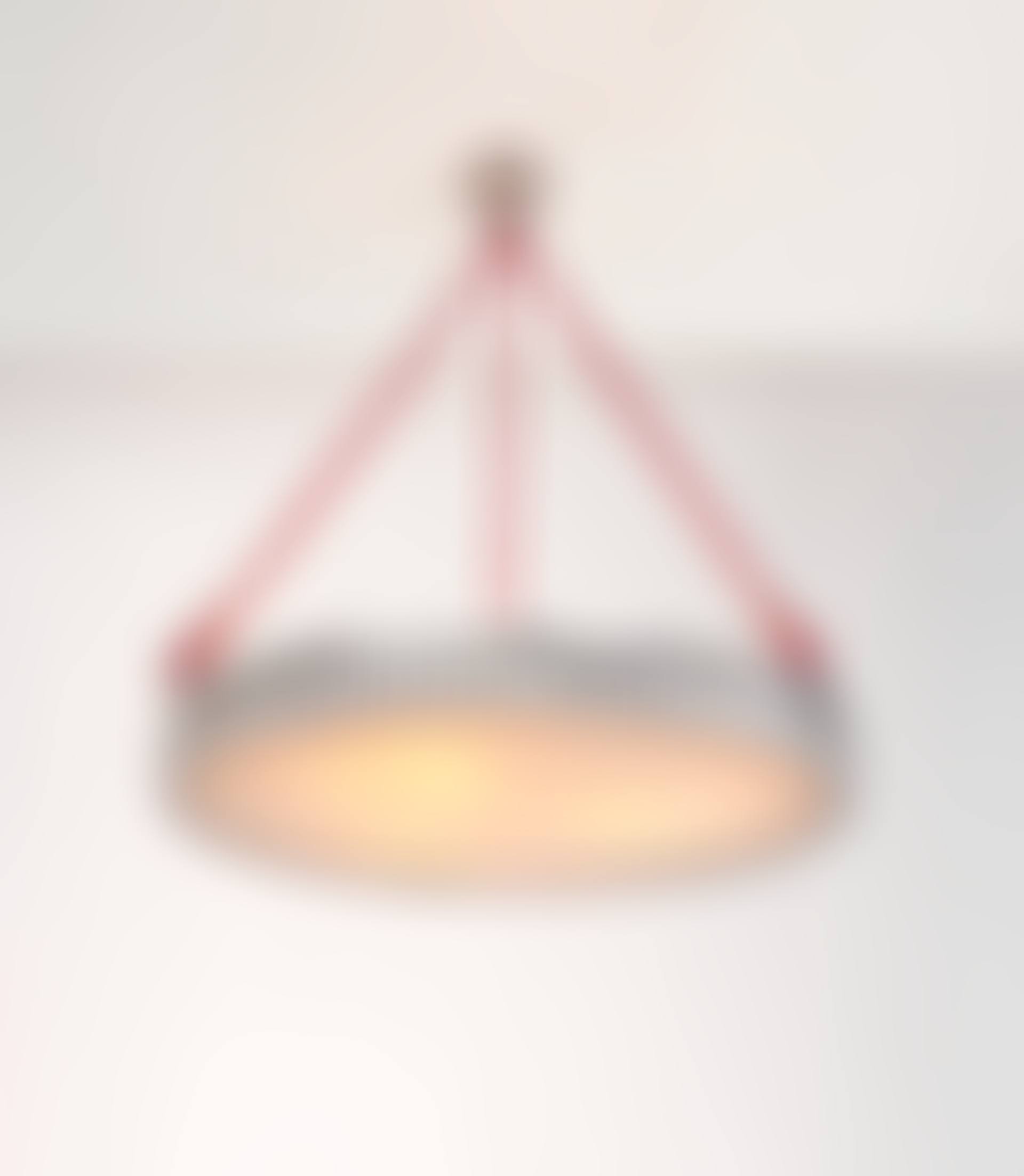 RARE CEILING LIGHT, CIRCA (preview)