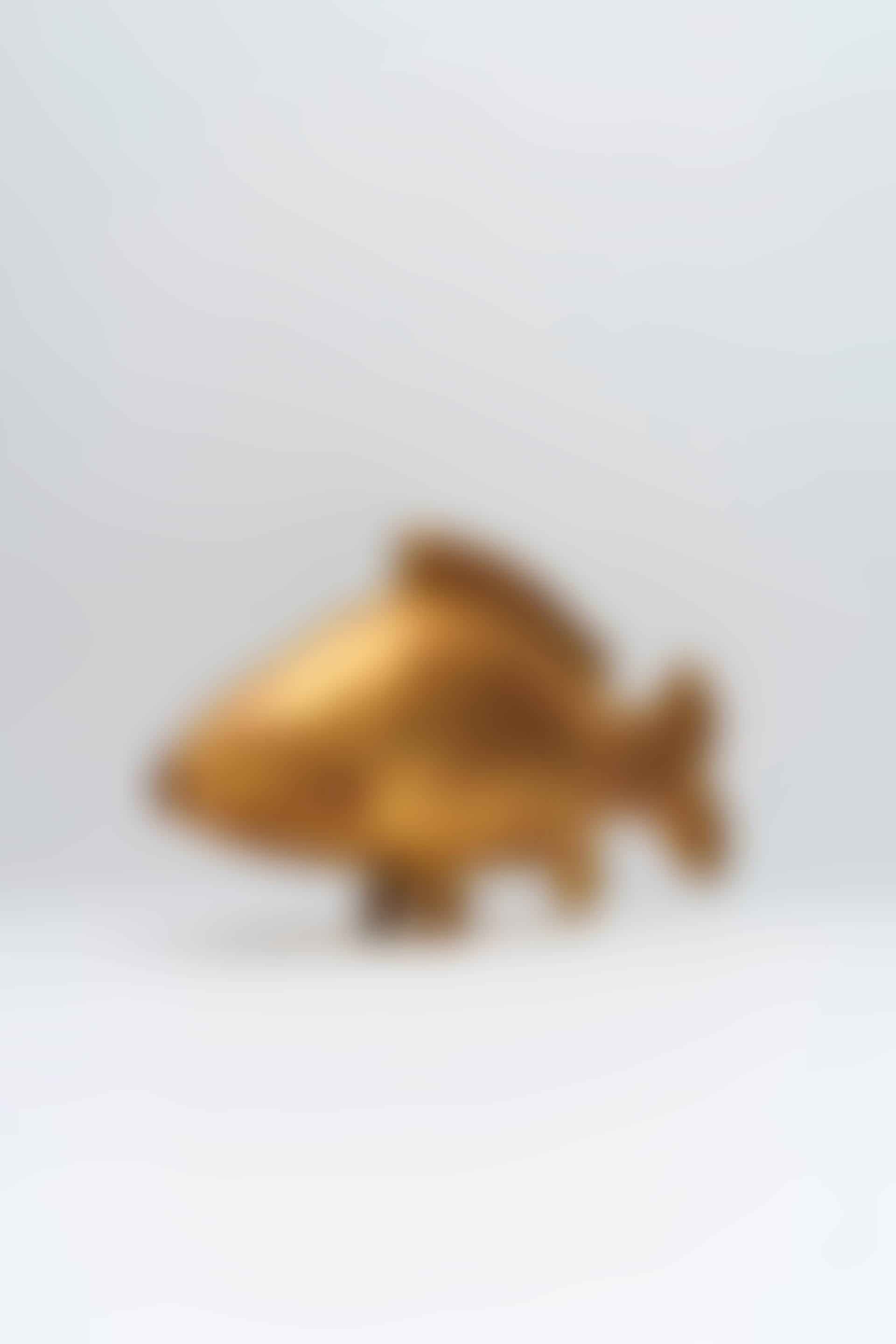 'CARPE D’OR', DESIGNED (preview)