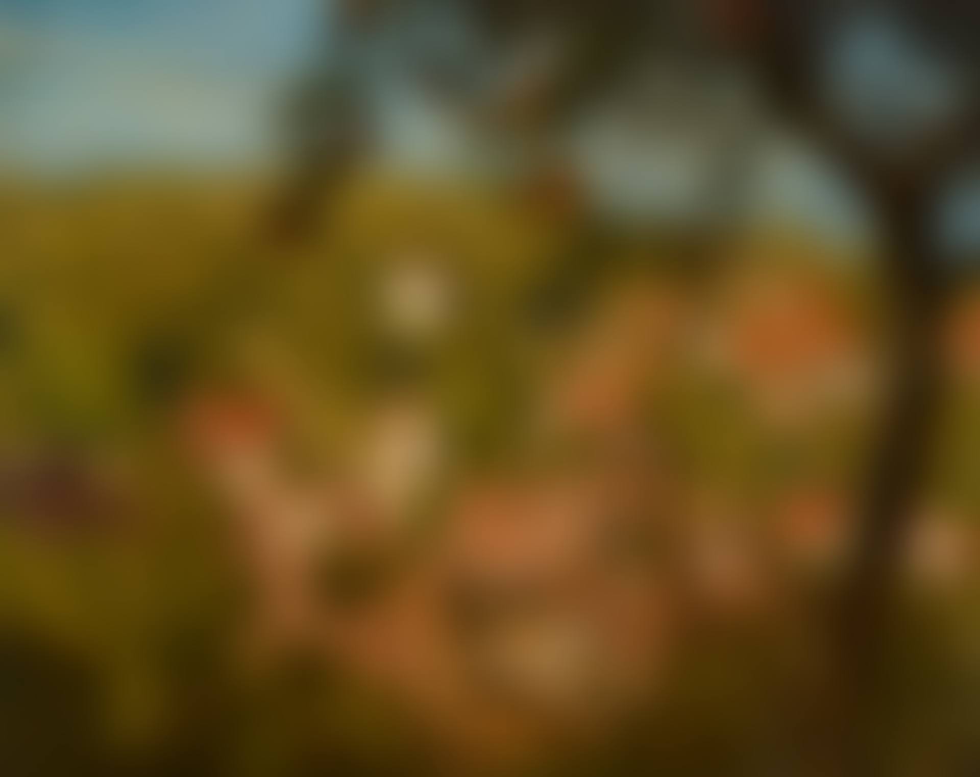 Blick auf Mamolsheim (preview)