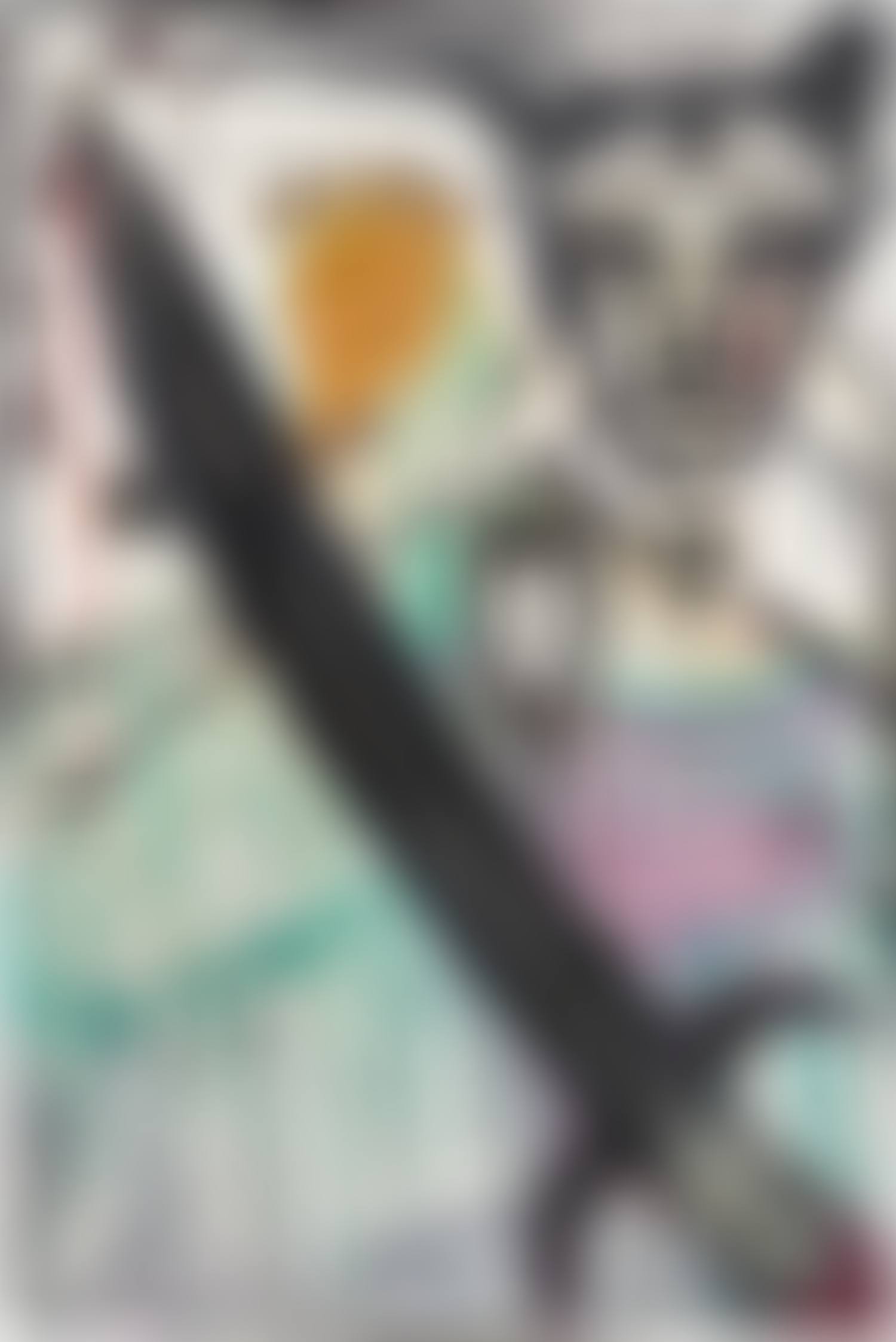 Ist Die Welt Lieb? (preview)