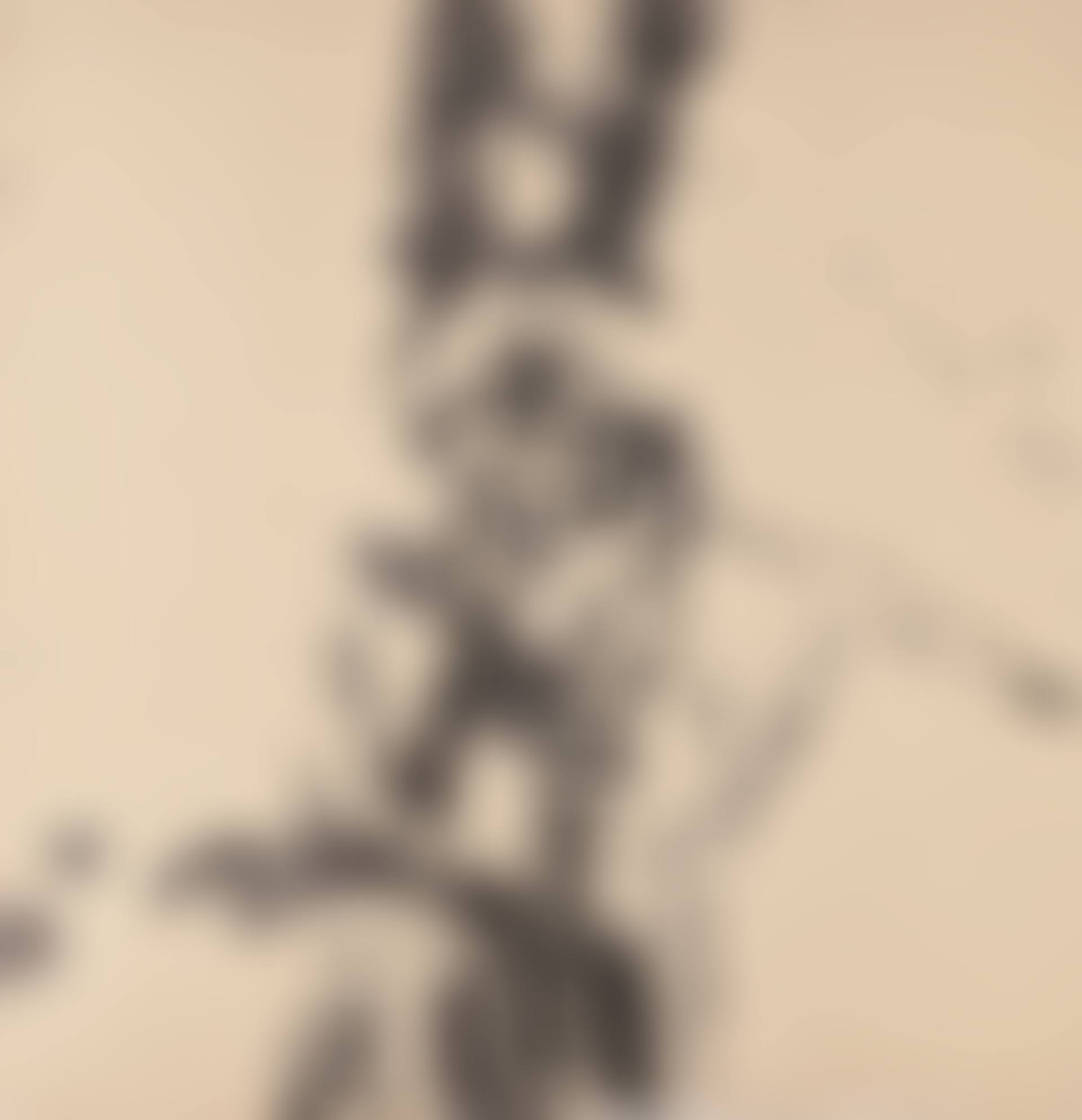 Sans titre (preview)