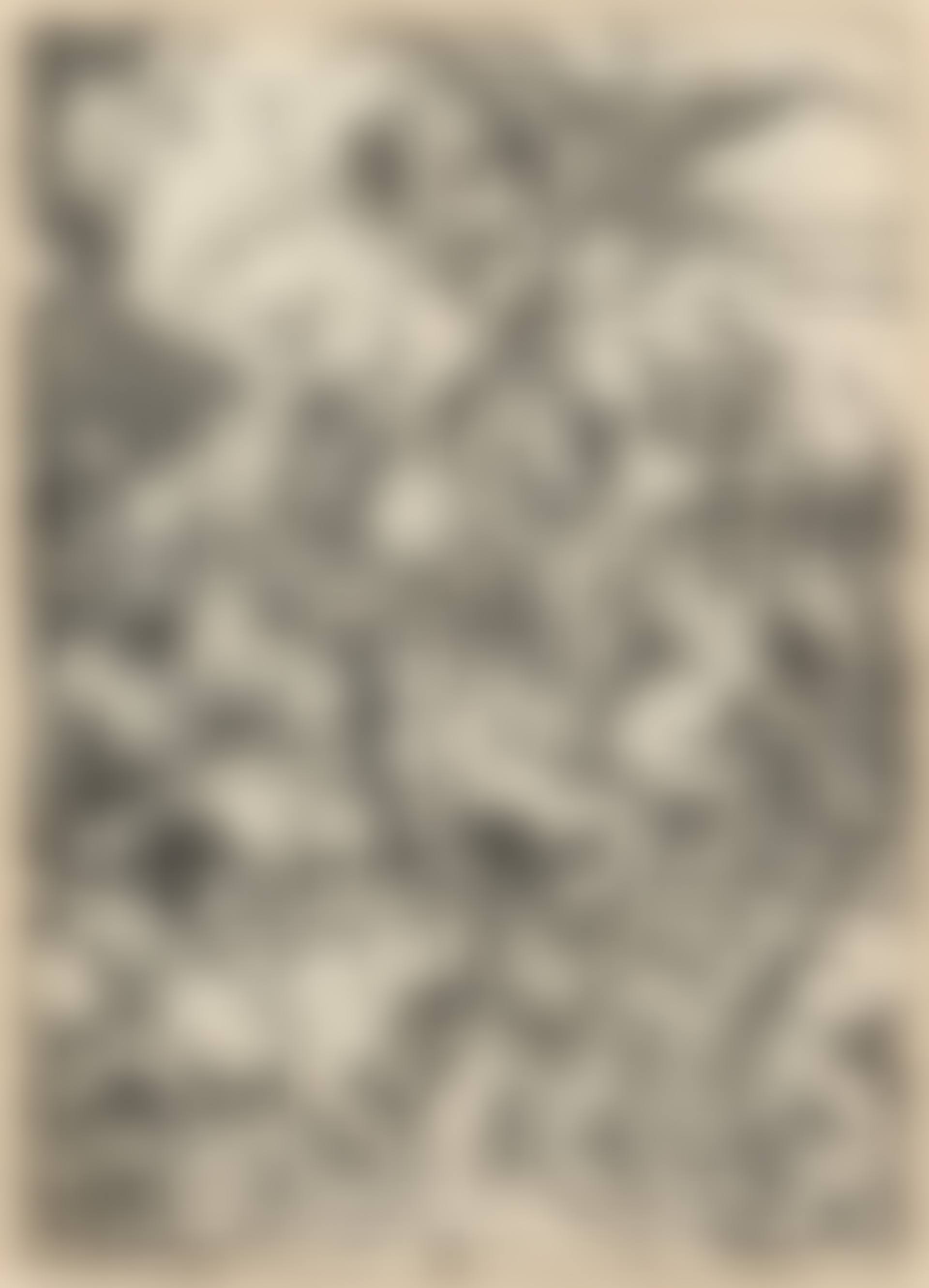 The Four Horsemen of the Apocalypse (B. 64; M., Holl. 167) (preview)