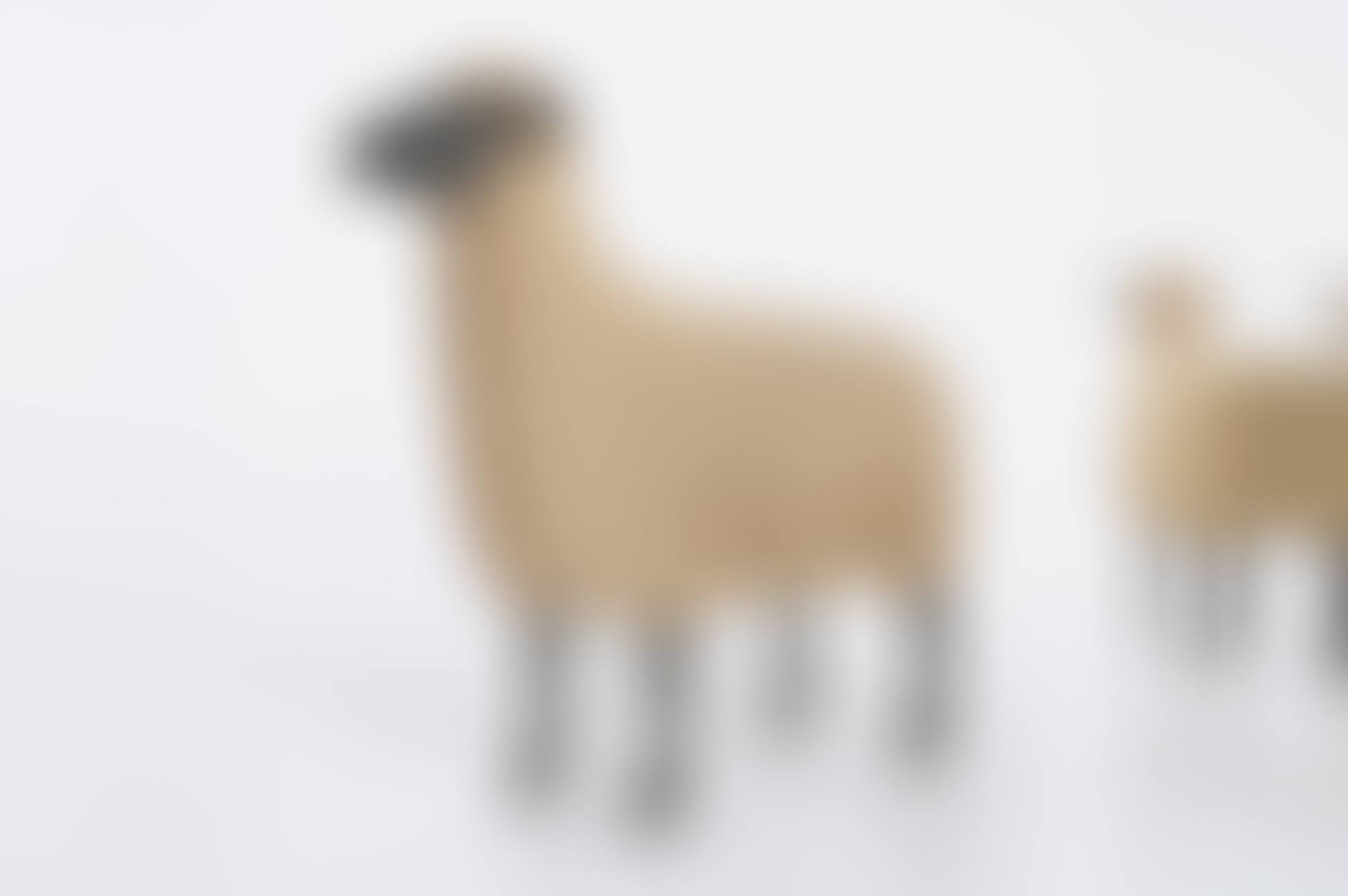 Mouton de Pierre (preview)