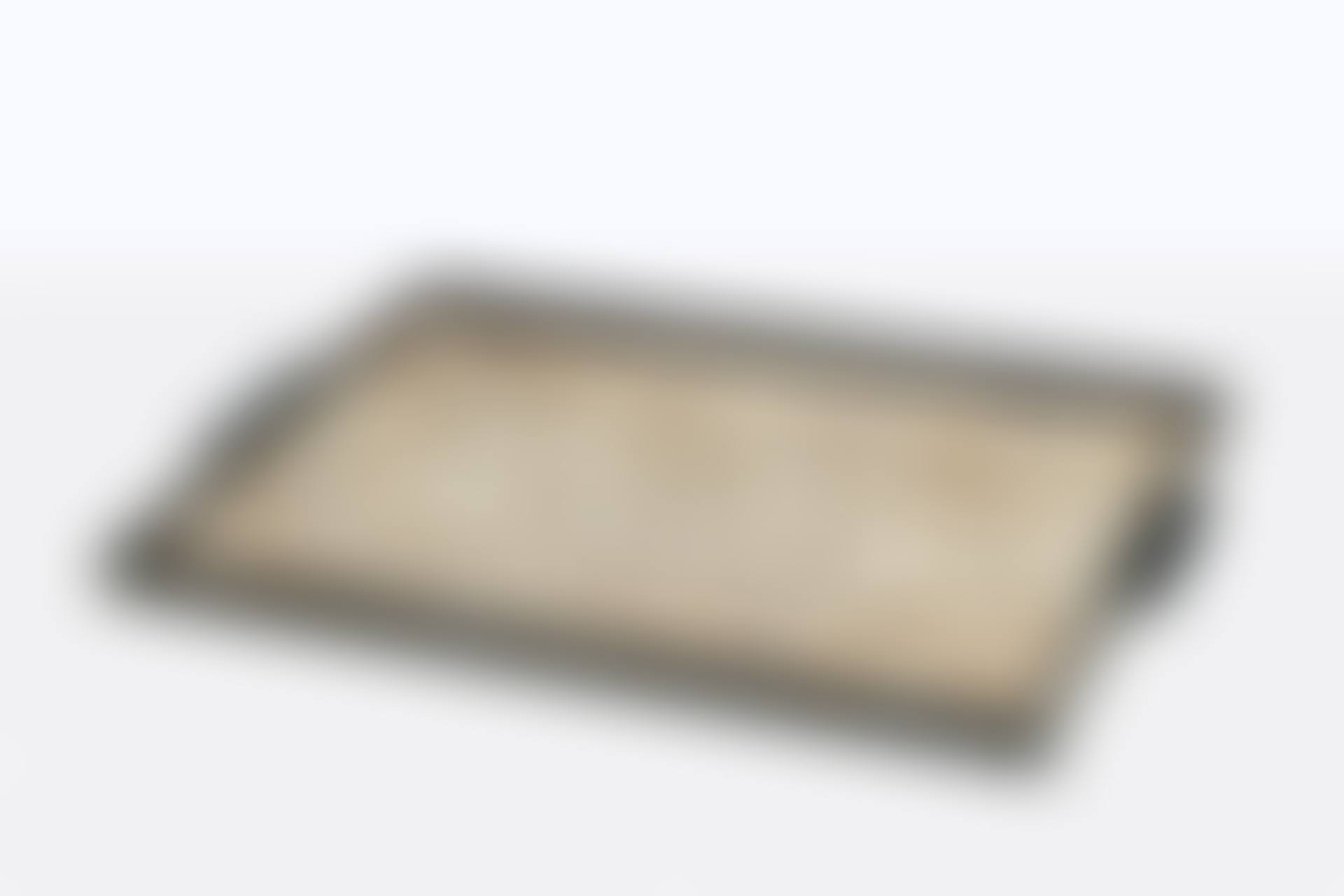 Tray (preview)