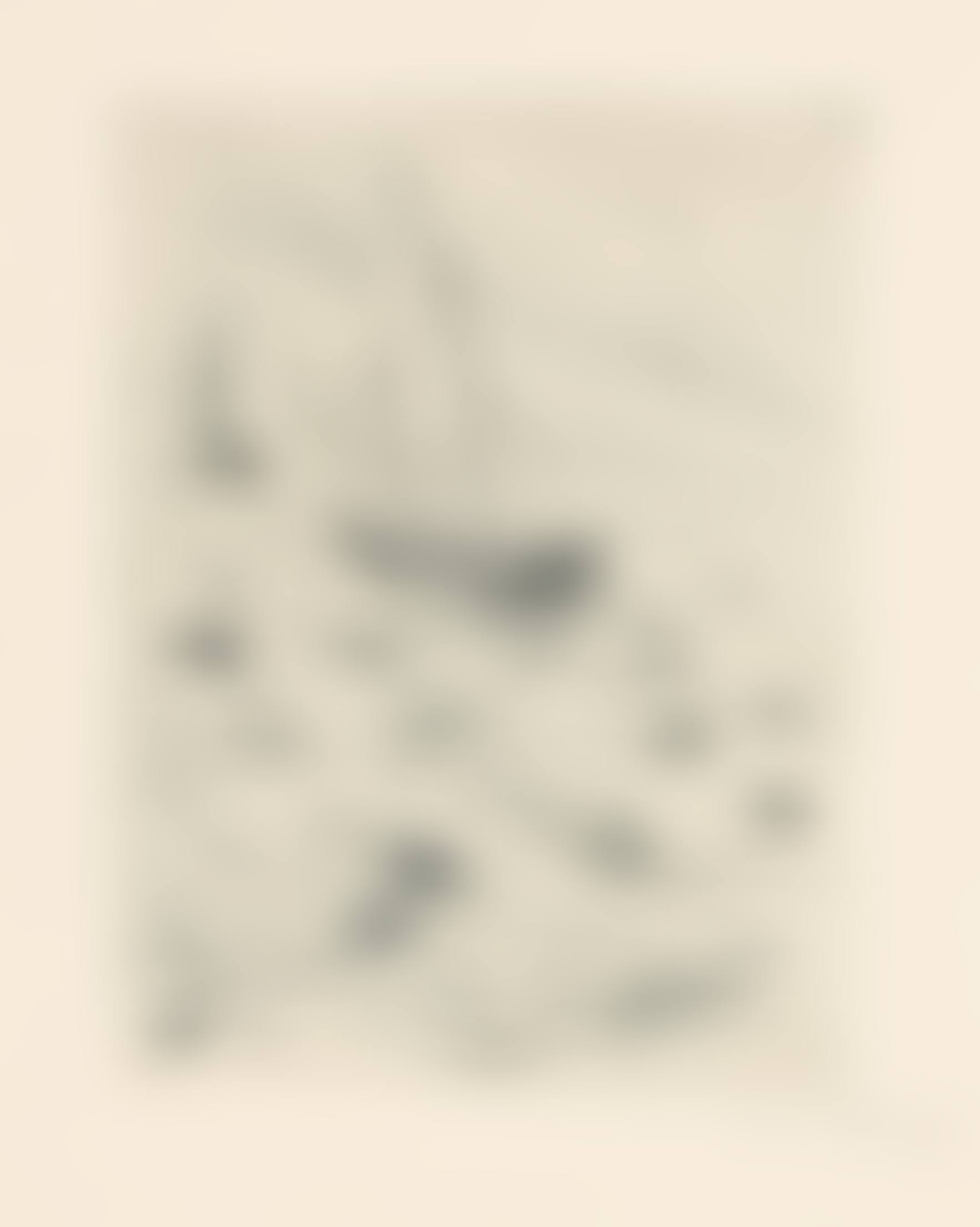 Schiffe im Wind (preview)