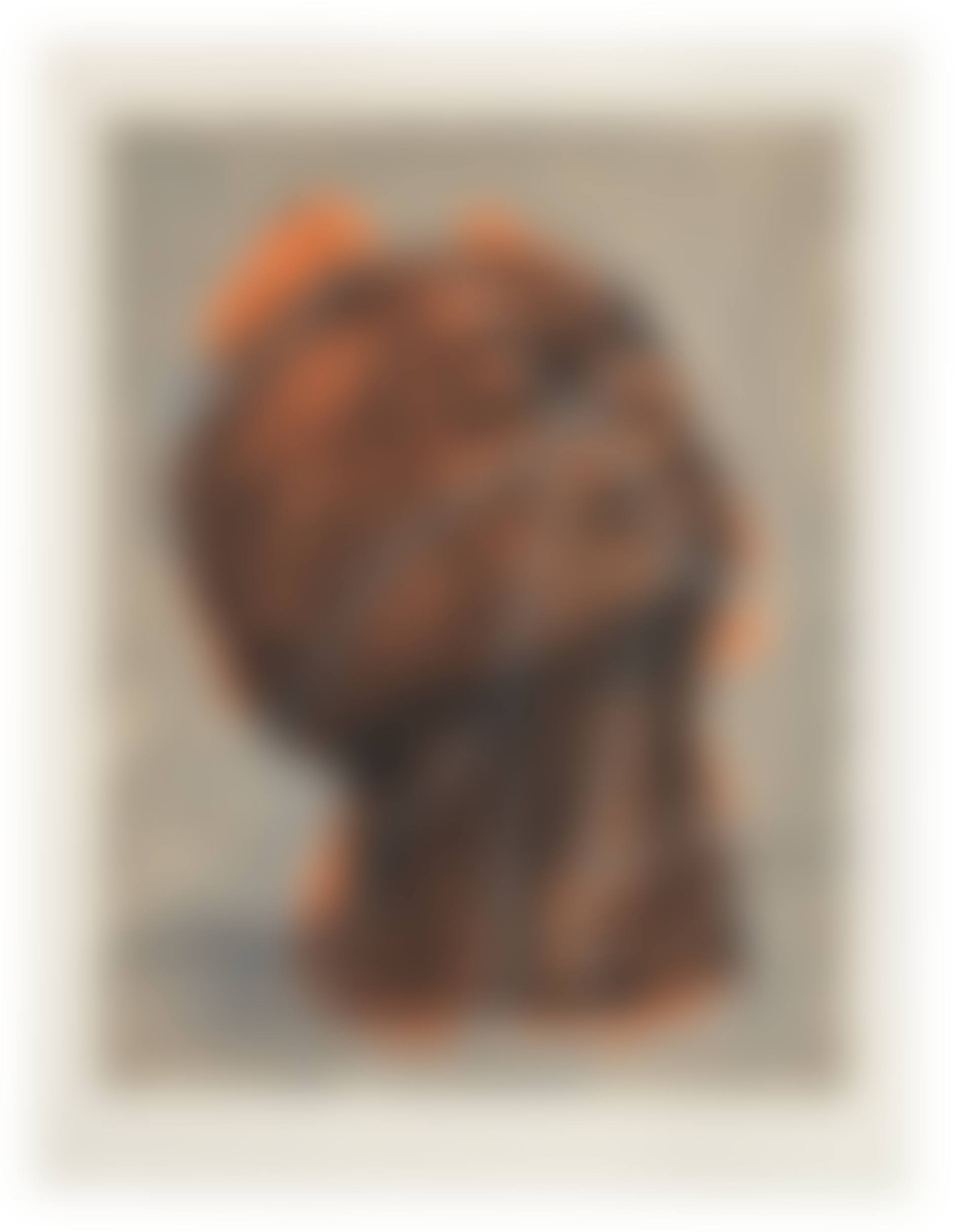 Head (Orange) (preview)