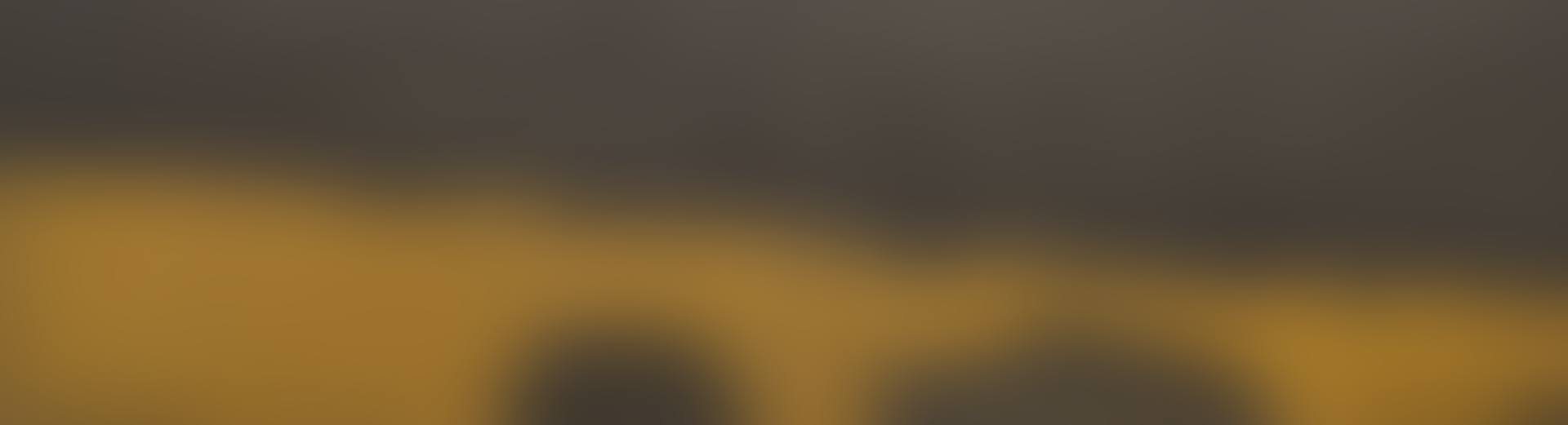 Arms (diptych) (preview)