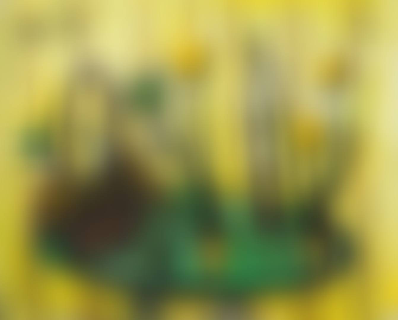 Nature morte aux tulipes (preview)