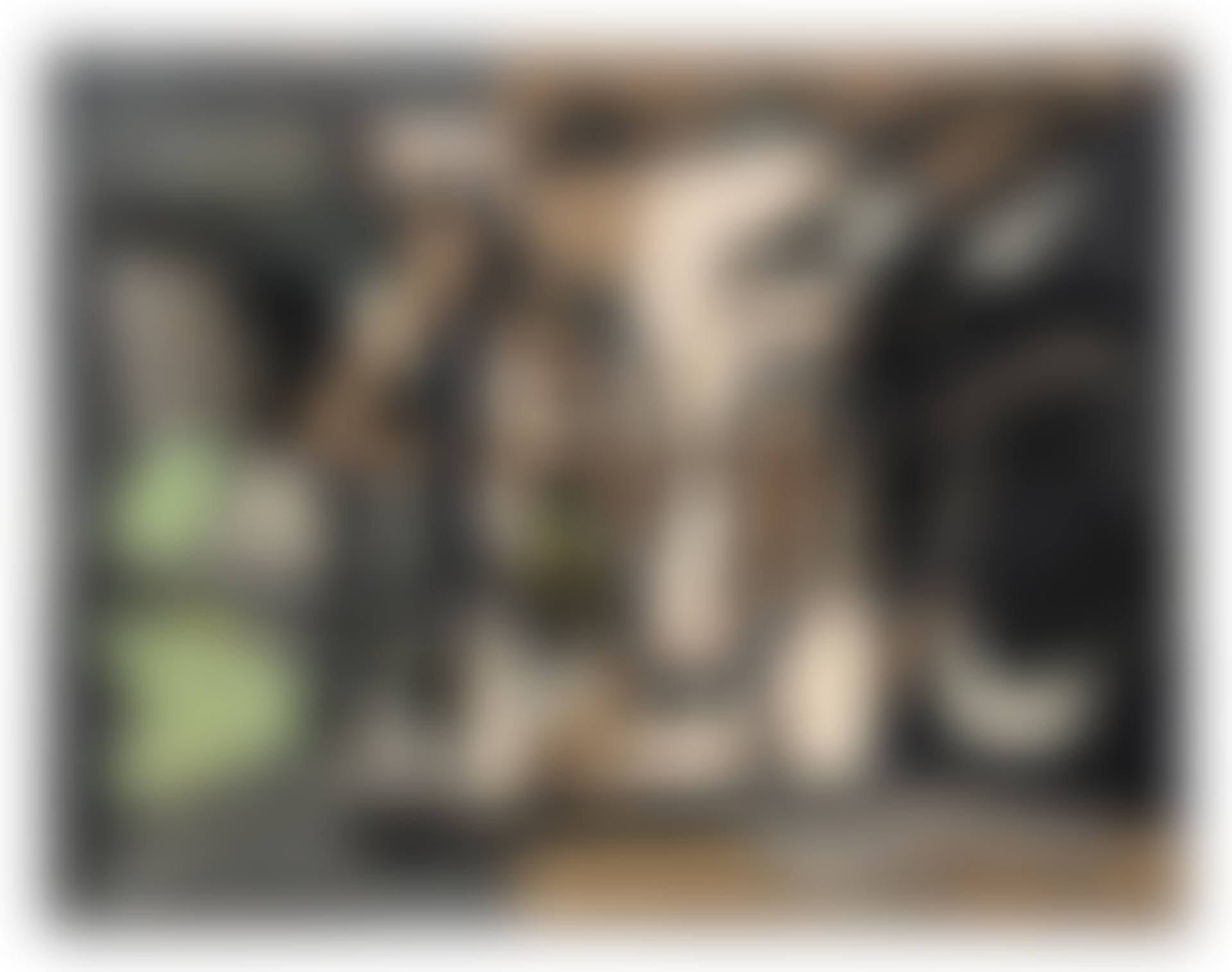 Composition (preview)