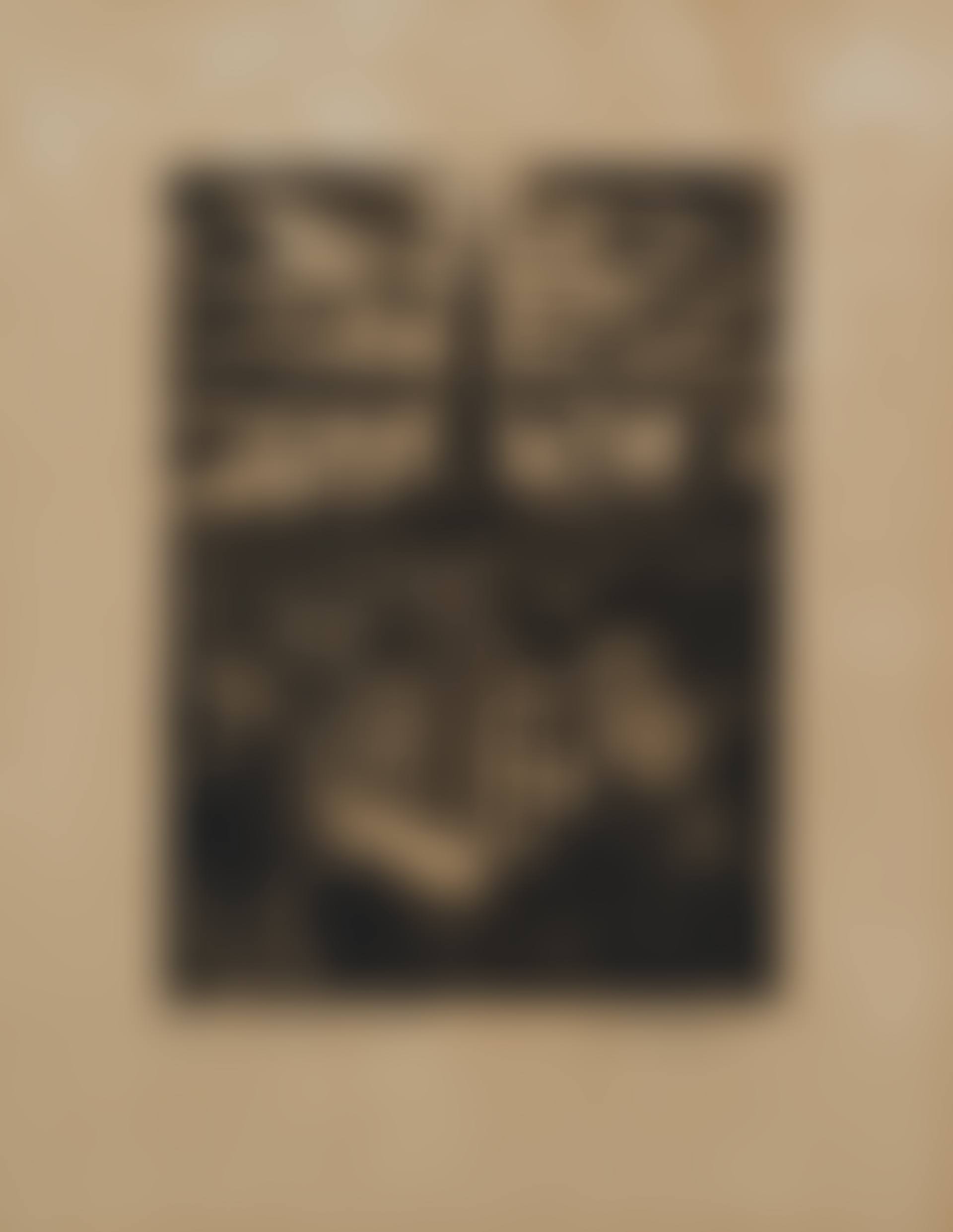 Maison Osterrieth, Anvers (preview)