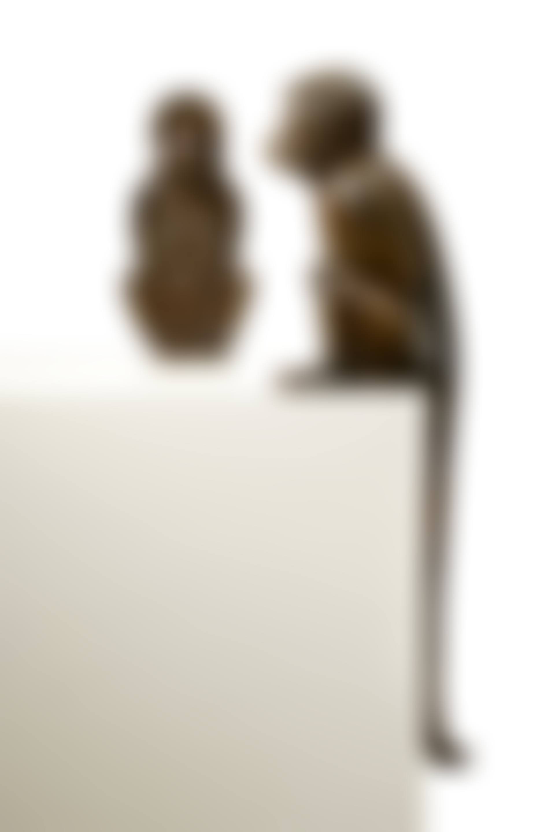 Singe SI et Singe SII (preview)