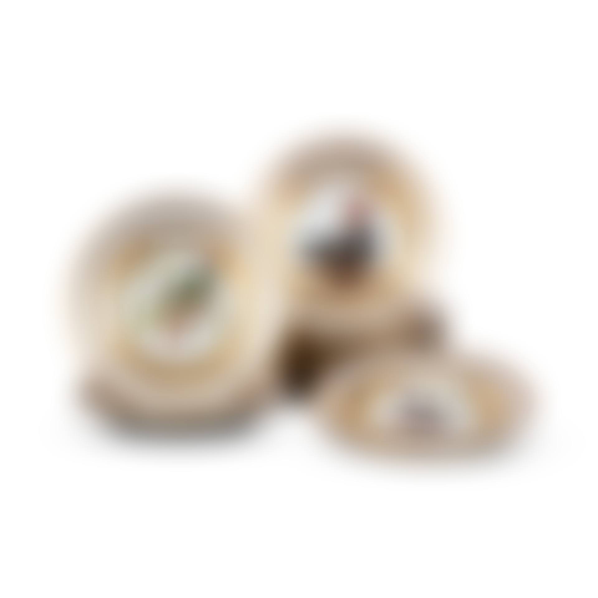 Twelve Paris porcelain (Dagoty) ornithological dessert plates (preview)