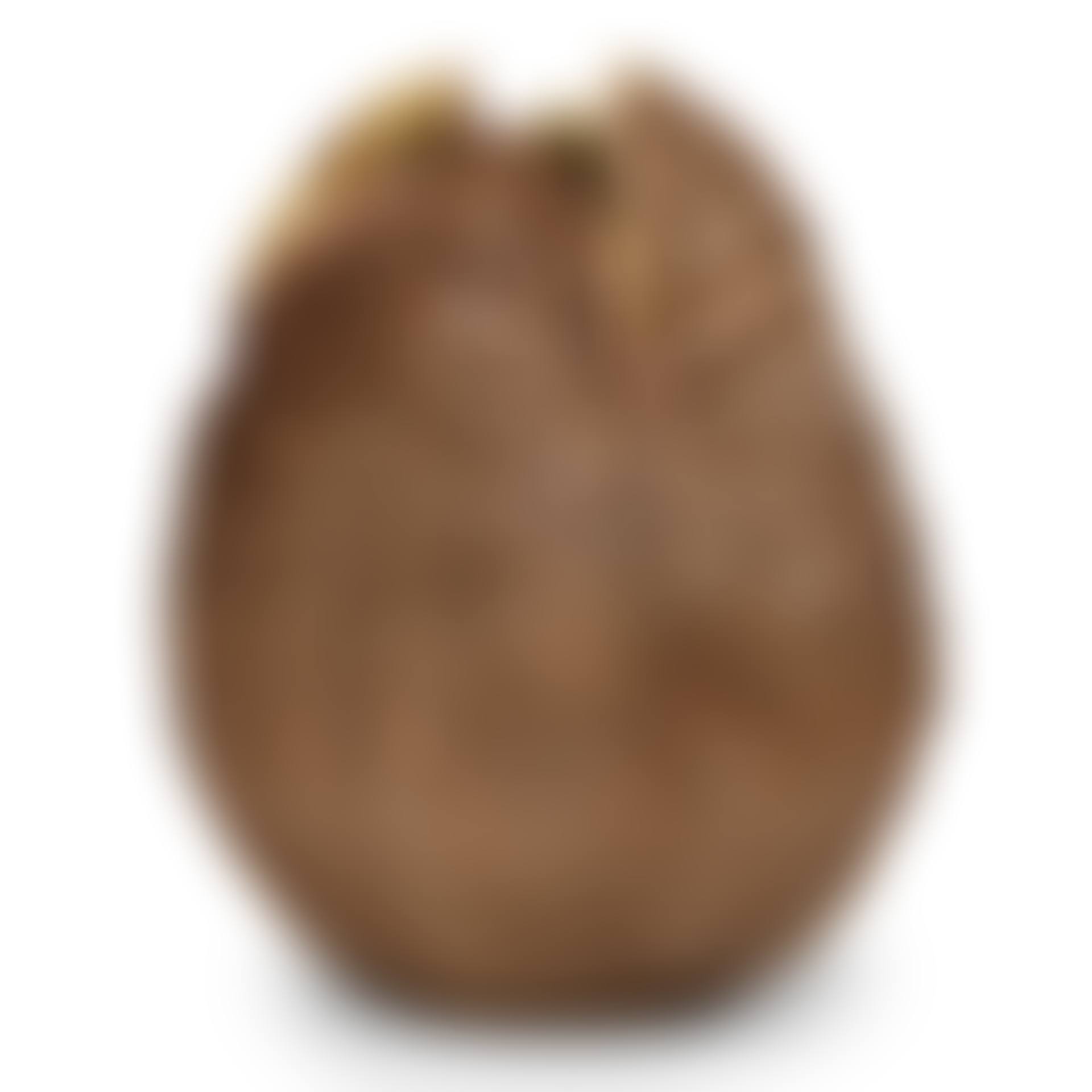 Production Used "Ovomorph" Prop Hatchling Egg from Alien Vs. Predator. (preview)