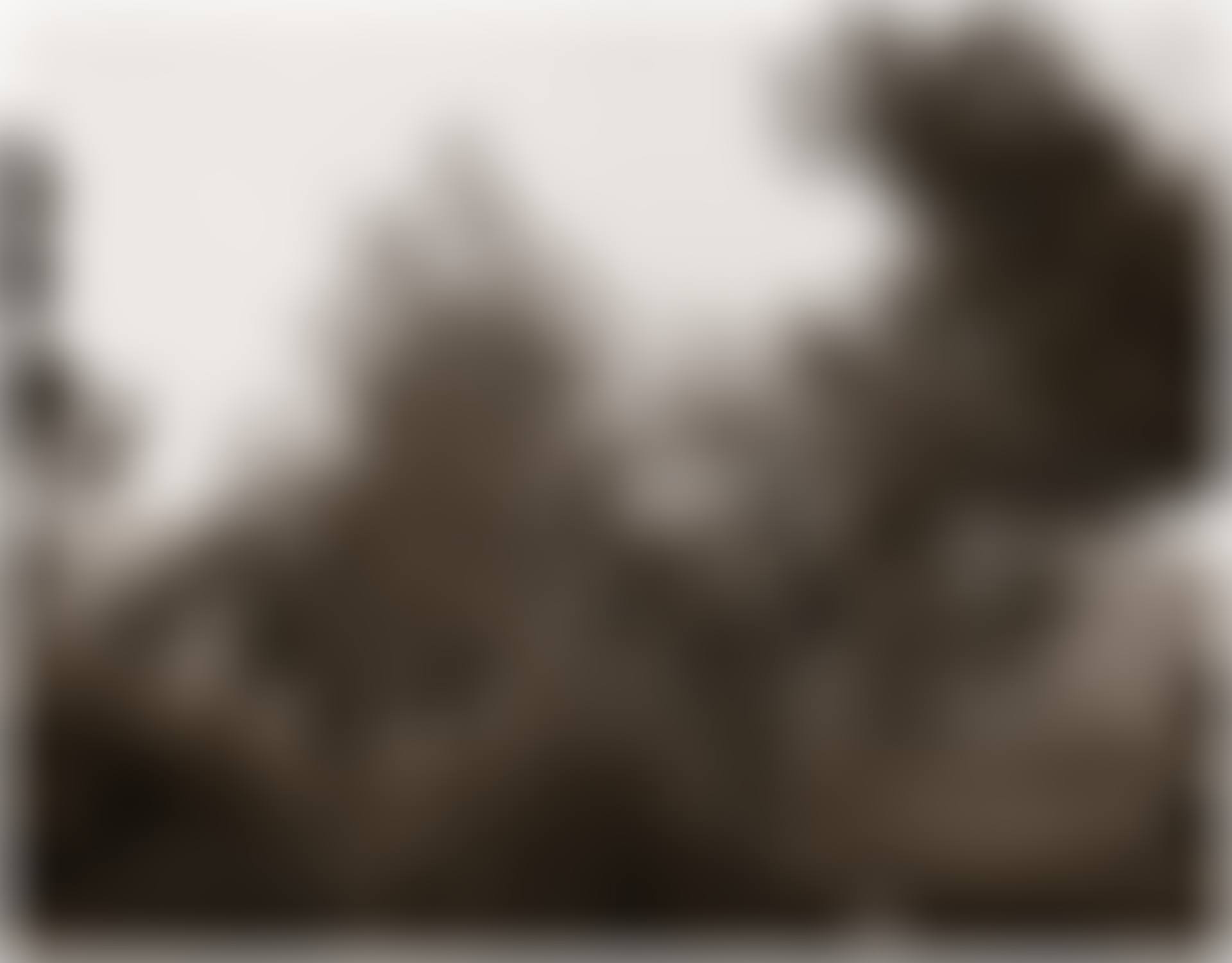 Broken Trees, Near Box Springs Mountains, East of Riverside, California (preview)