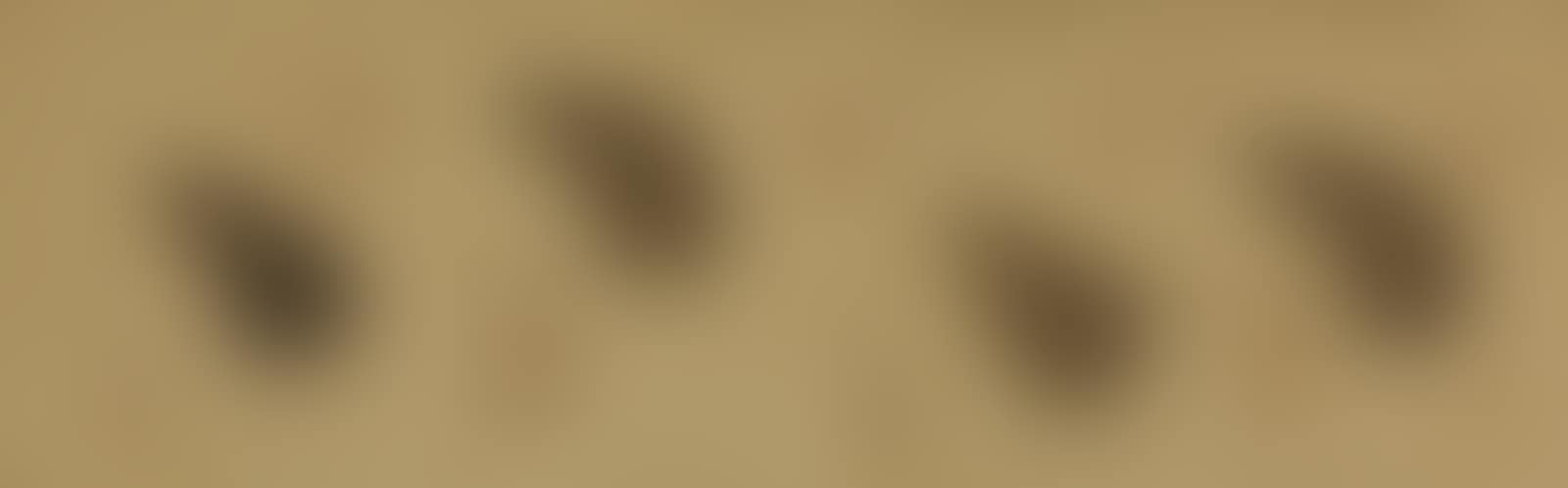 Water Drops (preview)