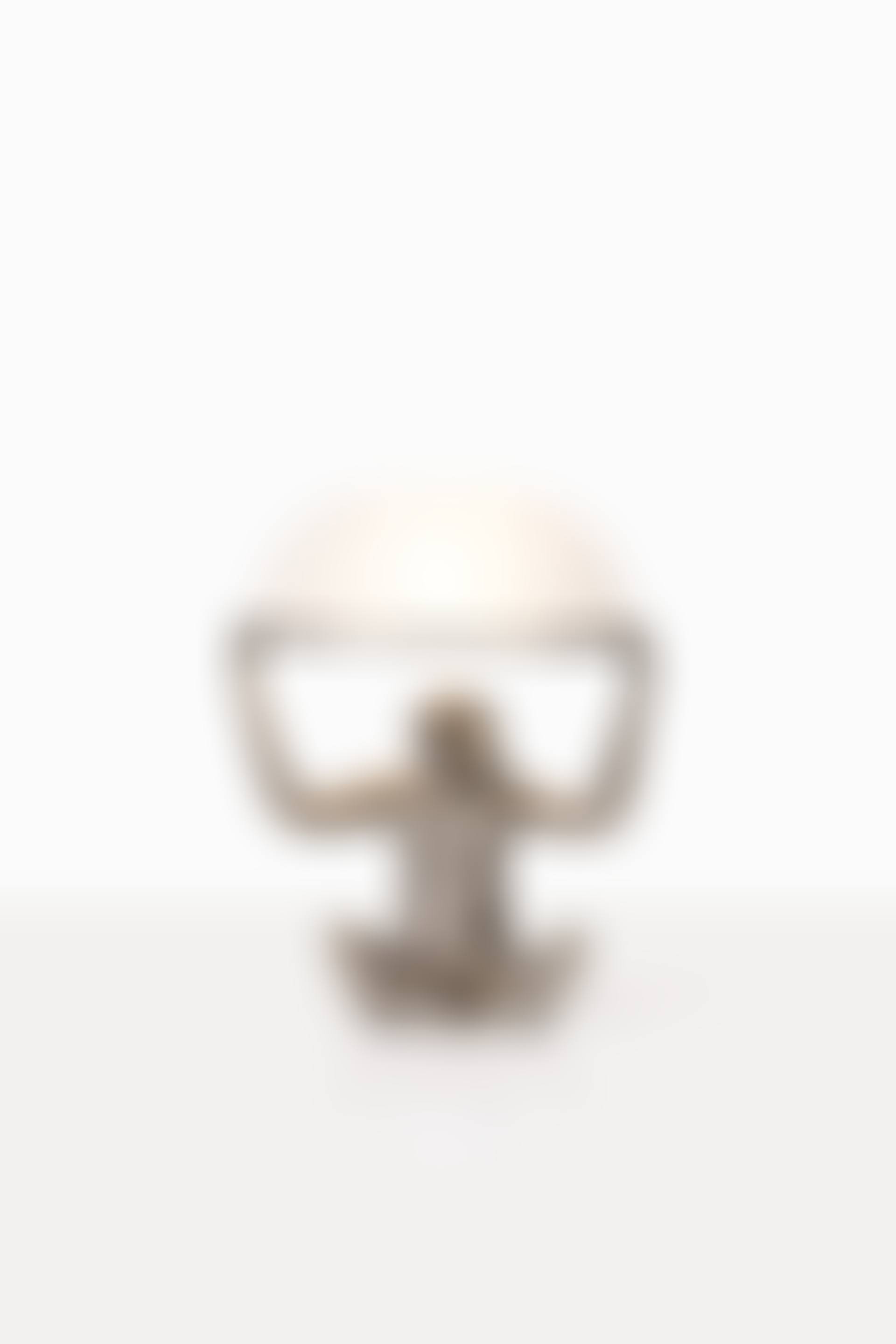 Singe allumé lamp (preview)