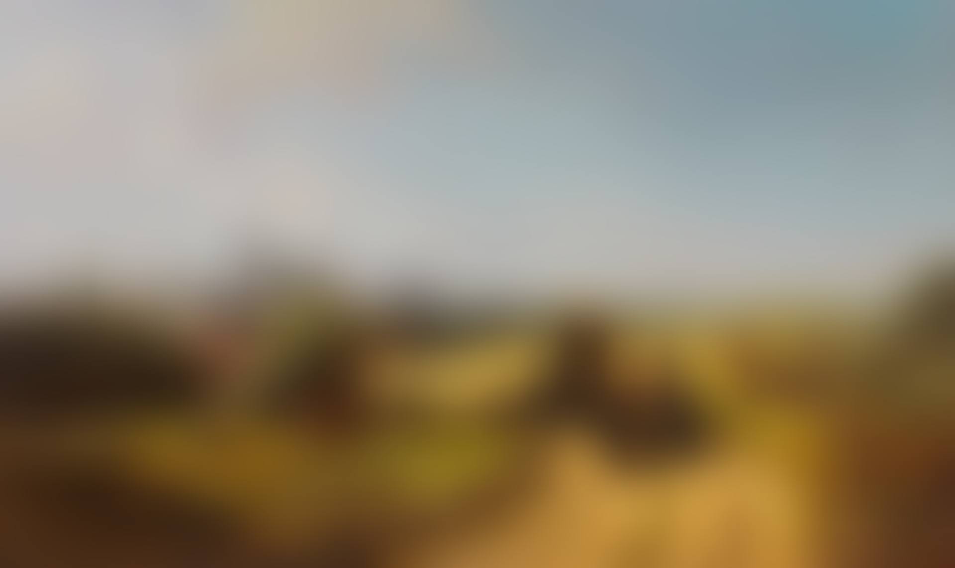Institutsspaziergang (preview)