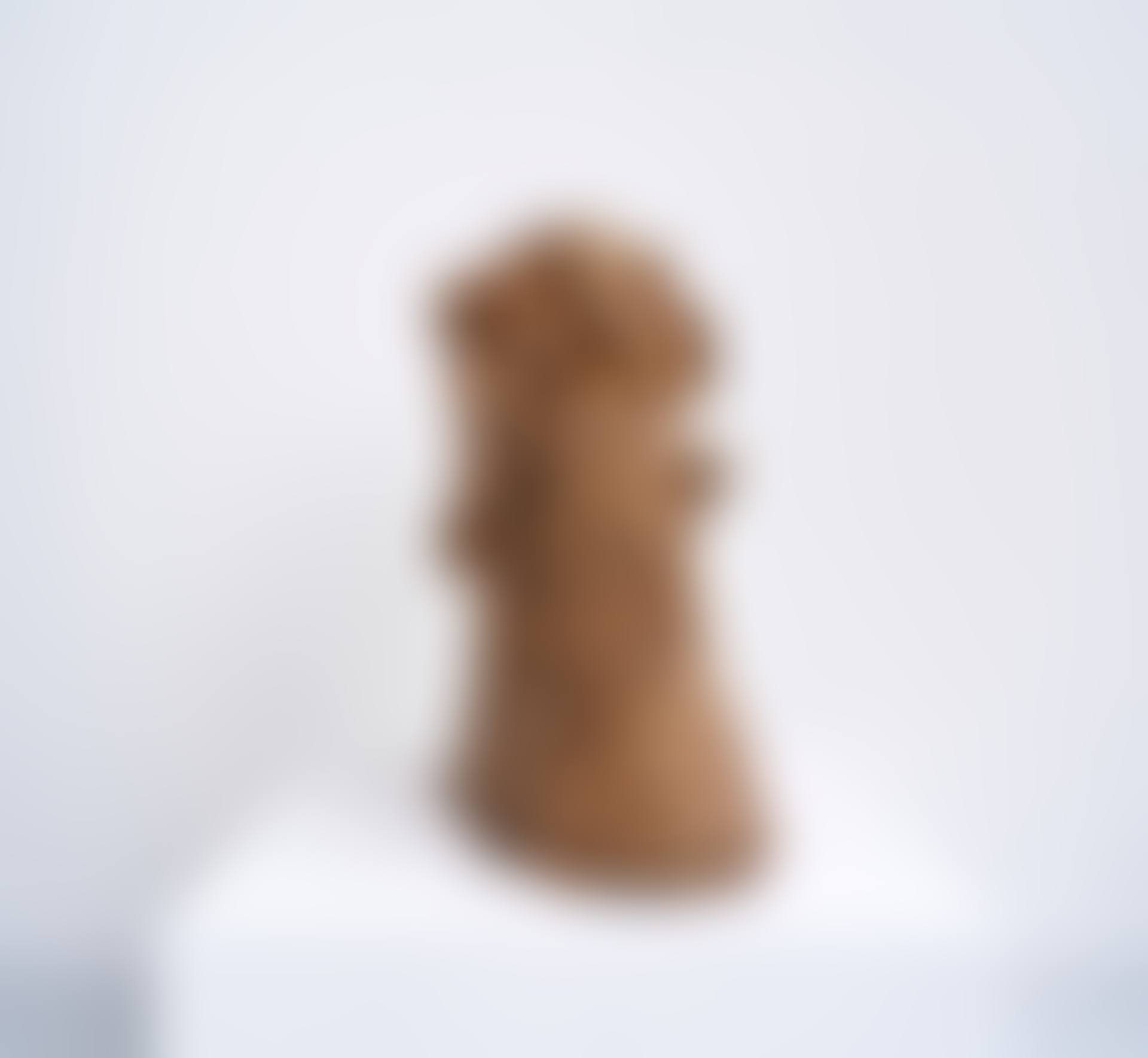 The Walrus (preview)