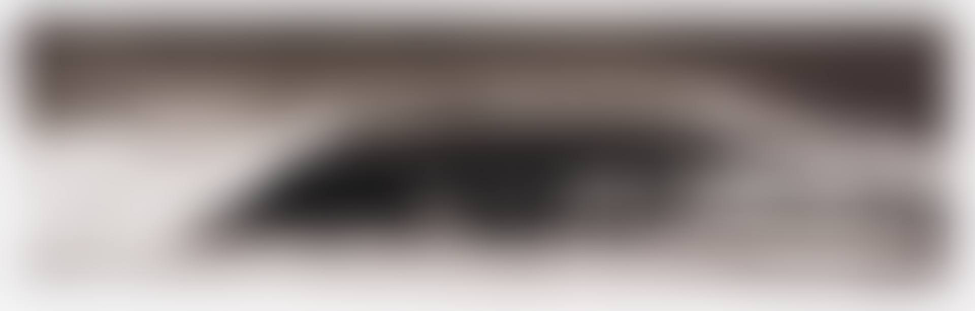 Study for Black Swan (preview)
