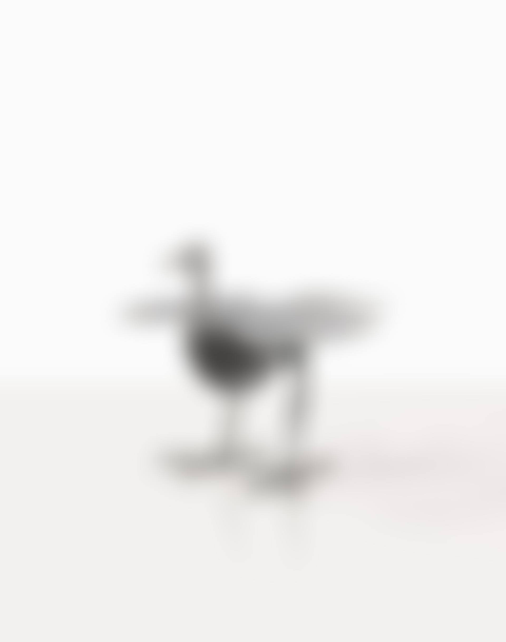 Oiseau d"argent table (preview)