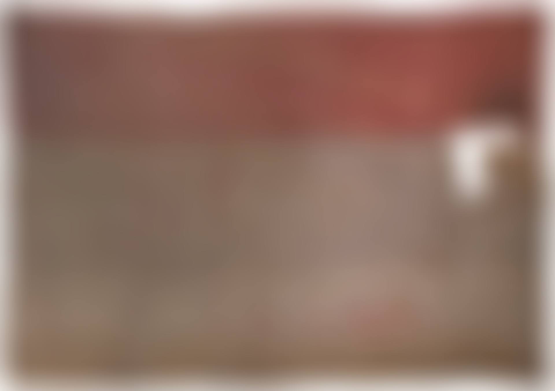 A FRENCH BATTLE FLAG (preview)