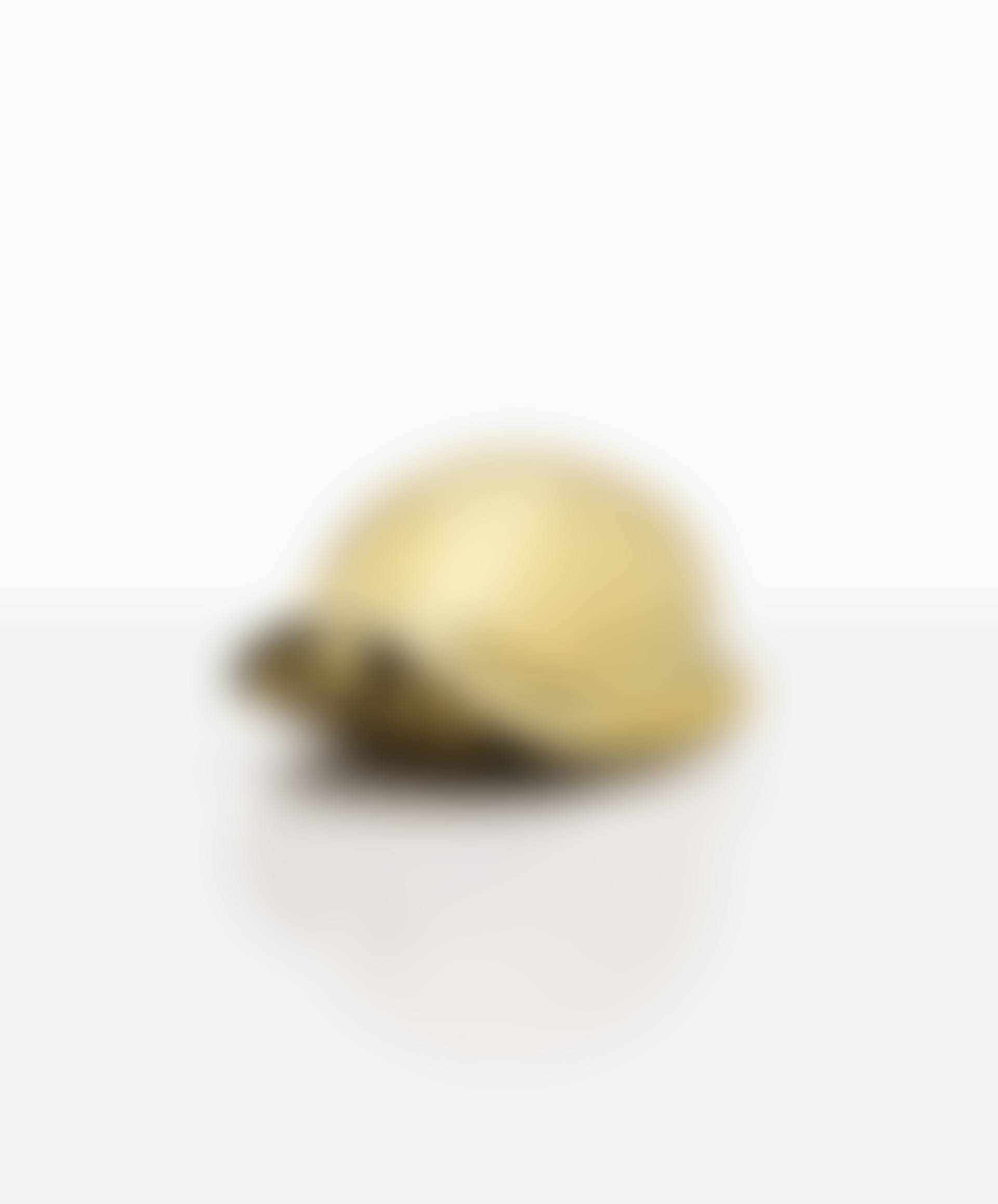 Turtle (preview)