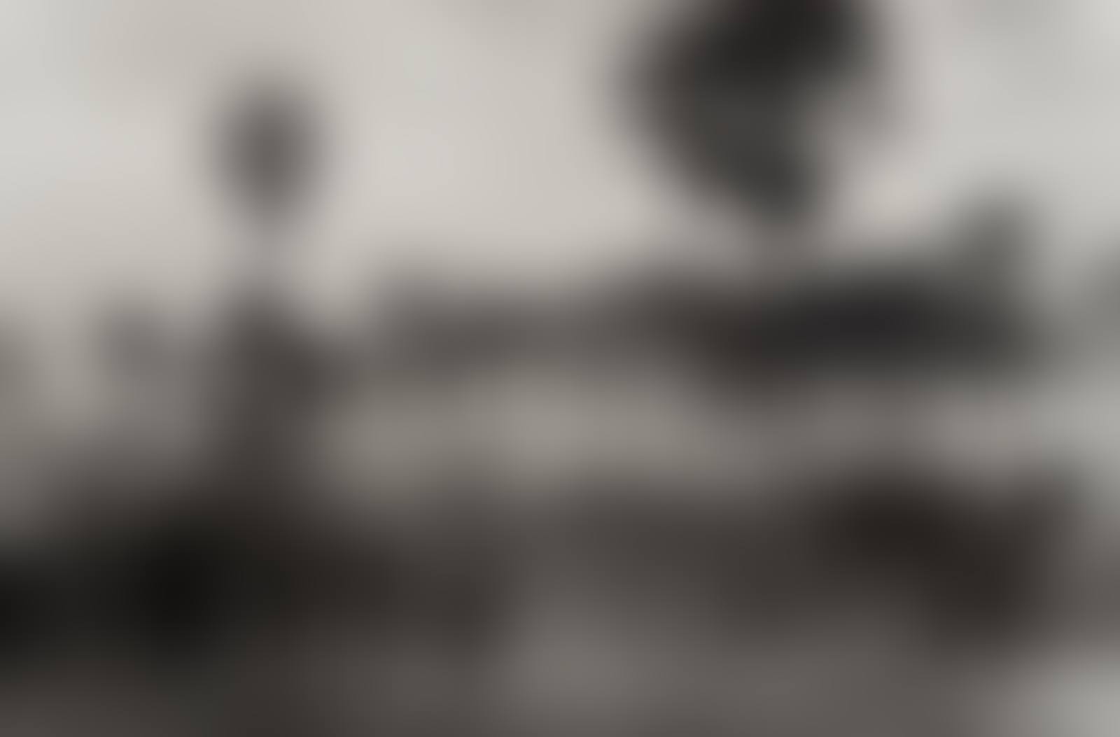 The population of the cattle camp of Kenya walk toward the polio vaccinators as soon as they arrive, Maper Payem area, Rumbek District, Southern Sudan (preview)