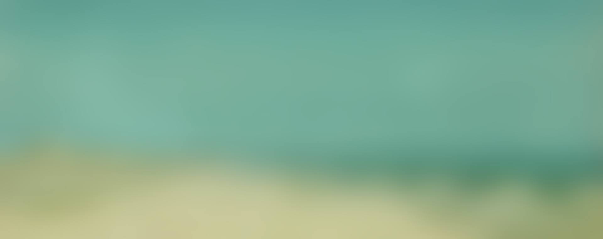 A Sketch On the Long Island Coast (preview)