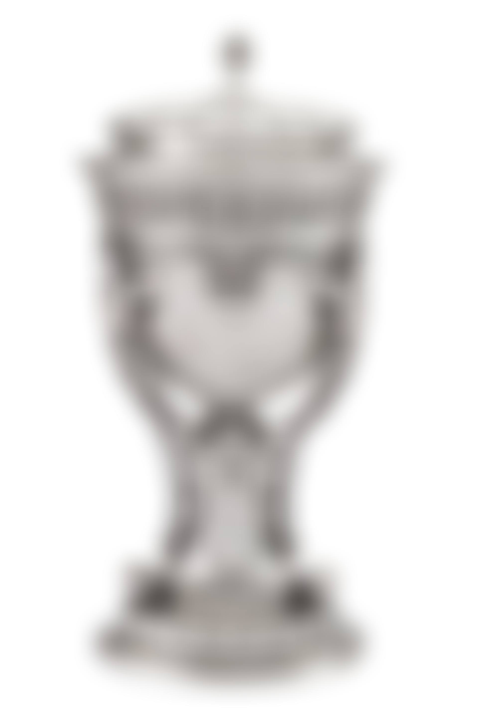 AN AMERICAN SILVER PRESENTATION CUP AND COVER (preview)
