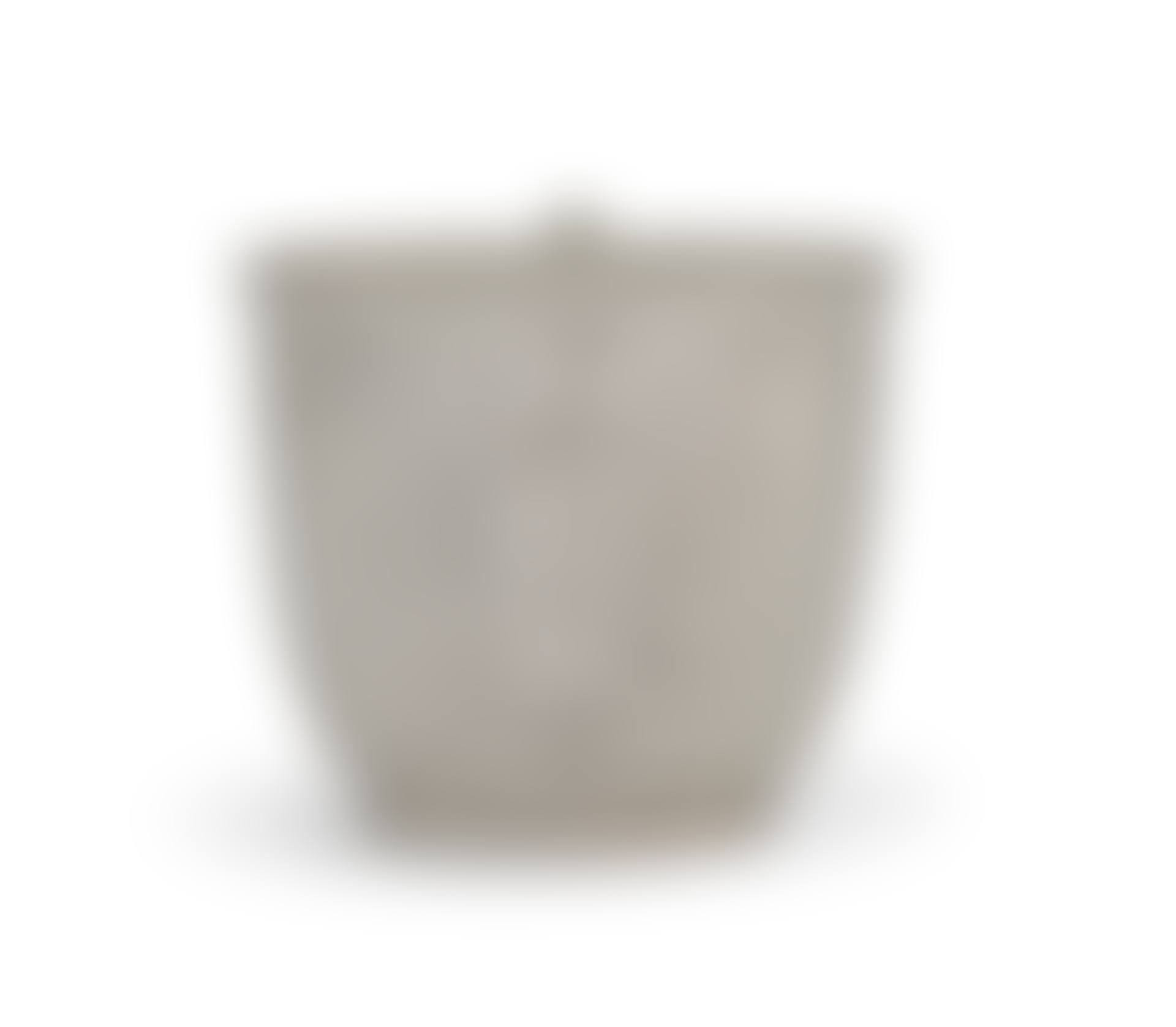 AN AMERICAN SILVER CUP (preview)