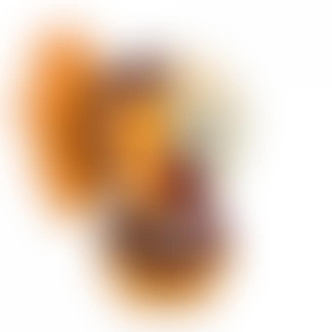 MILO (BROWN) (preview)