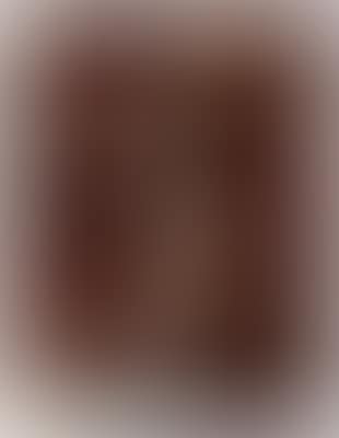 Ein Orientale (preview)