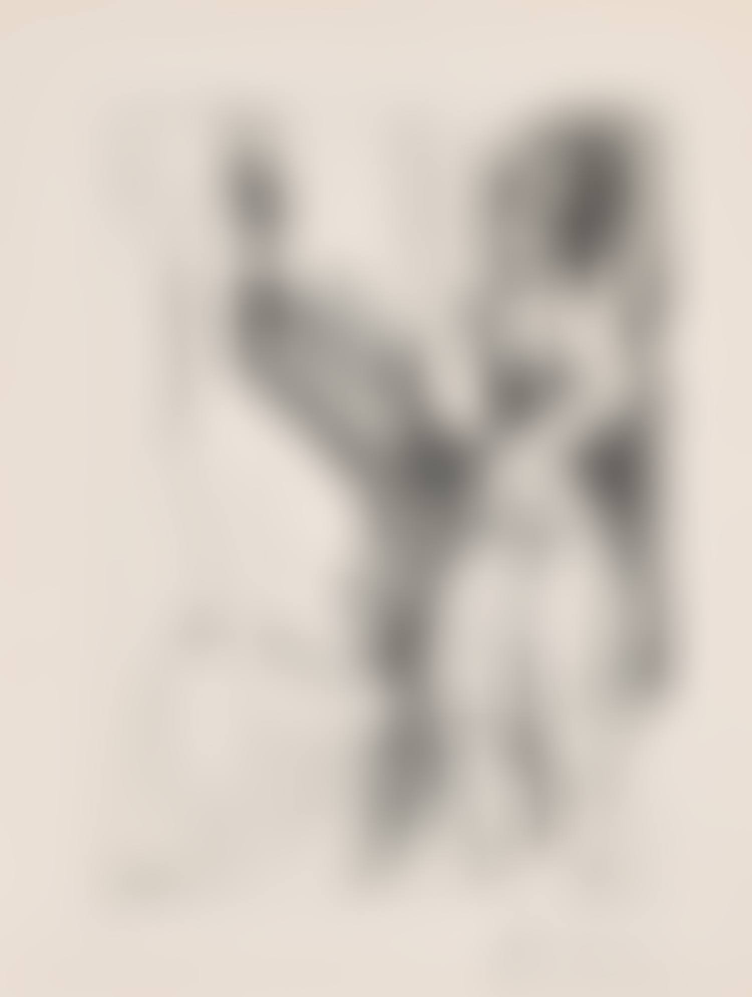 Deux femmes (Two Women), plate 62 from Série 156 (Bl. 1917, Ba. 1925) (preview)
