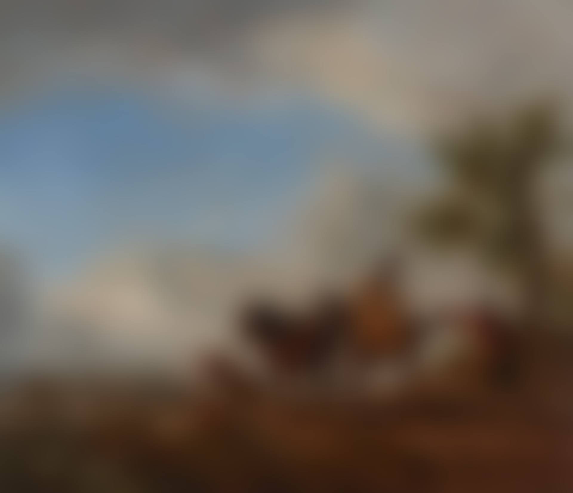 An elegant lady on horseback giving alms (preview)