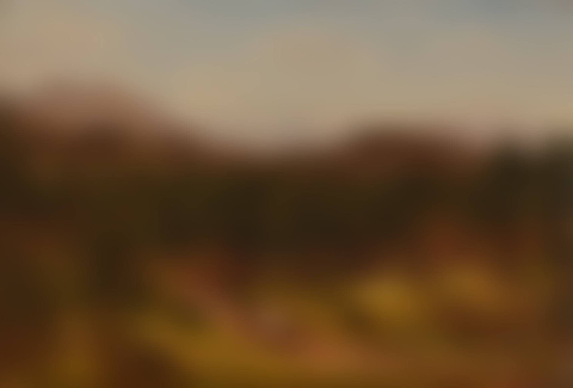 A Mountain Trail, Colorado (preview)