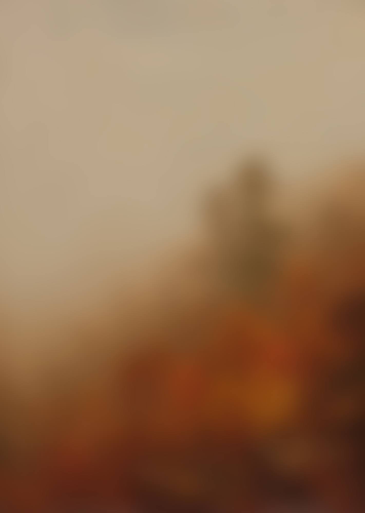A Foggy Autumn Morning in the Mountains, A Sketch (preview)
