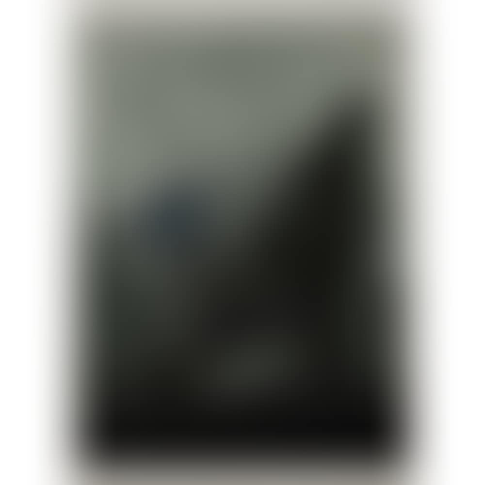 Absolute Ruscha (preview)