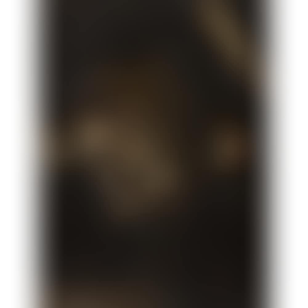 The unfortunate family (preview)