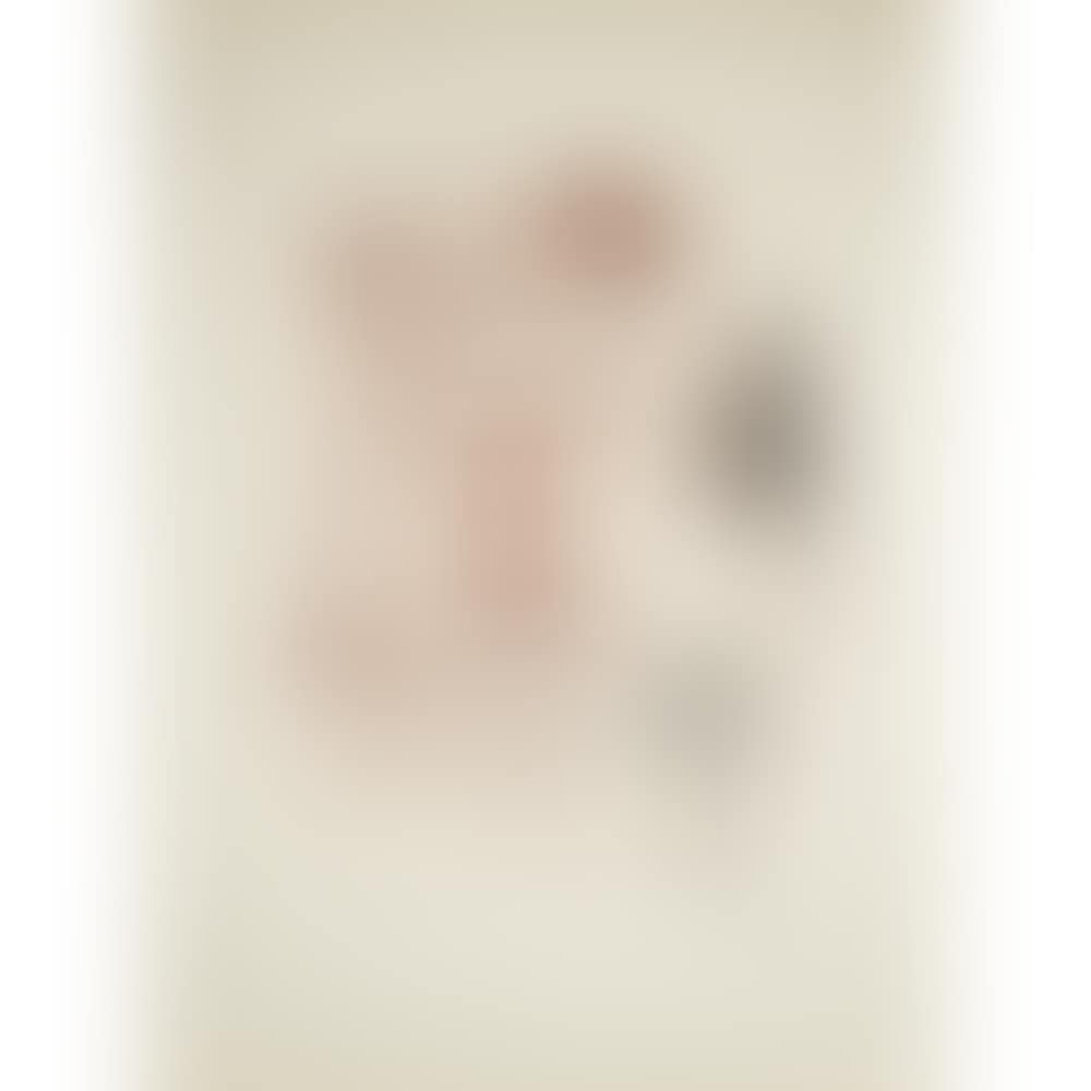 Narcissus; Plate 9 of the “Myhtologie” suite (preview)