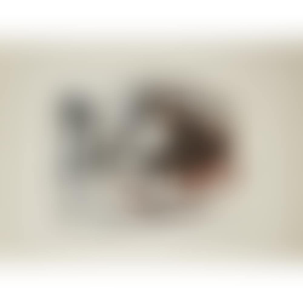 Milky Way; Plate 14 from the “Mythology” suite (preview)