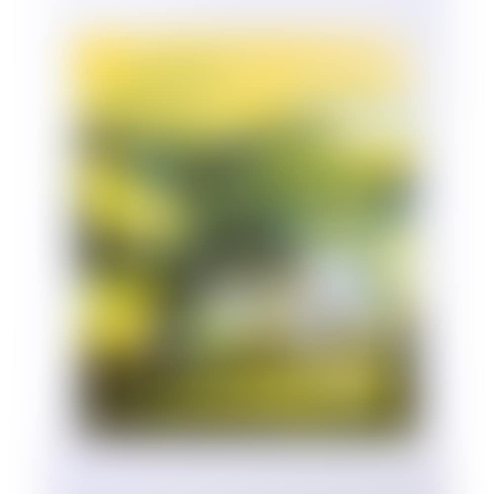 Spring (preview)